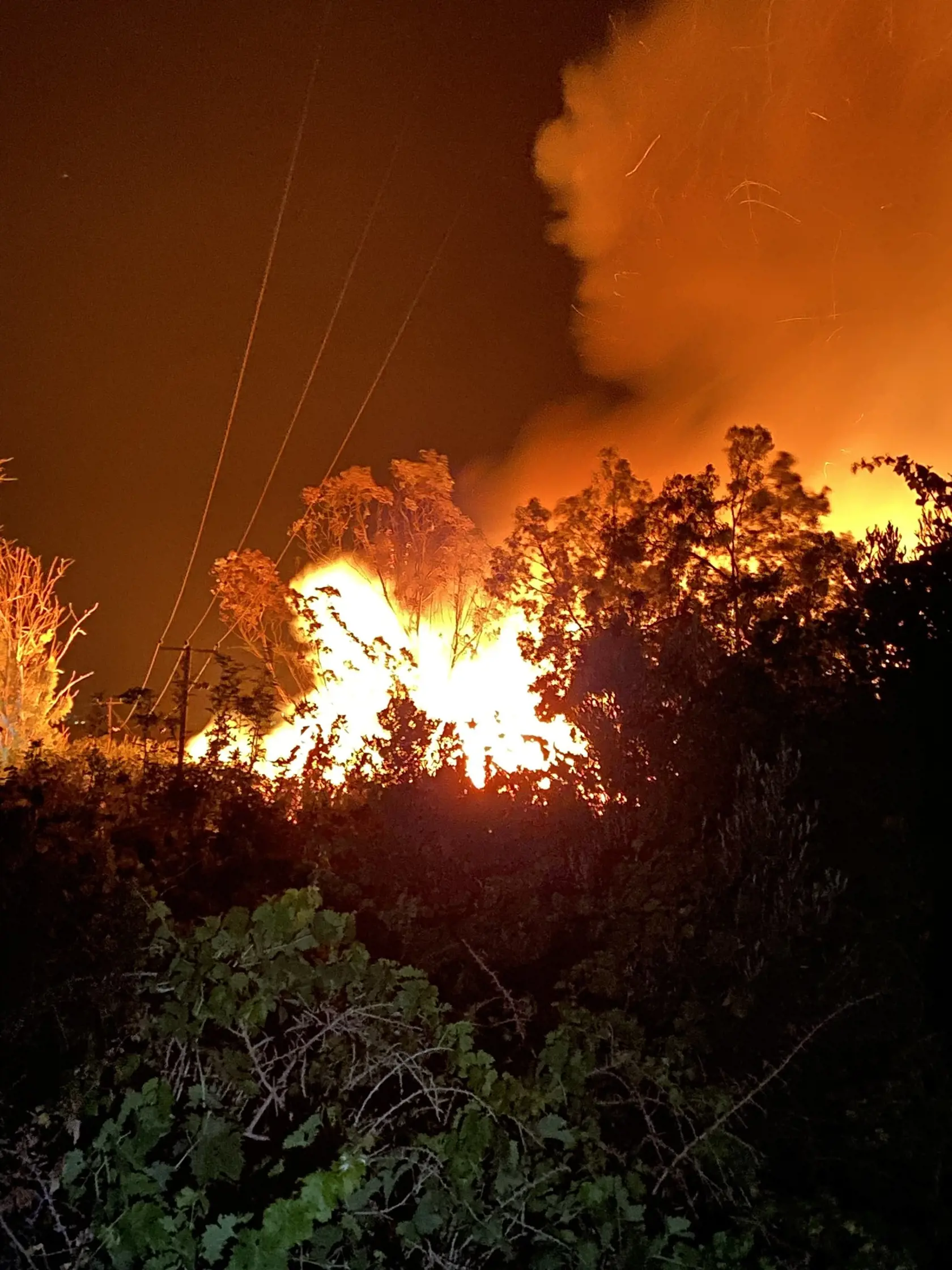Hasičom sa na Cypre podarilo dostať pod kontrolu požiar, ktorý vypukol v pondelok večer a zničil približne 20 hektárov lesa, uviedli v utorok miestni predstavitelia. Táto ostrovná krajina v súčasnosti zažíva jednu z najdlhších vĺn horúčav vo svojej histórii.