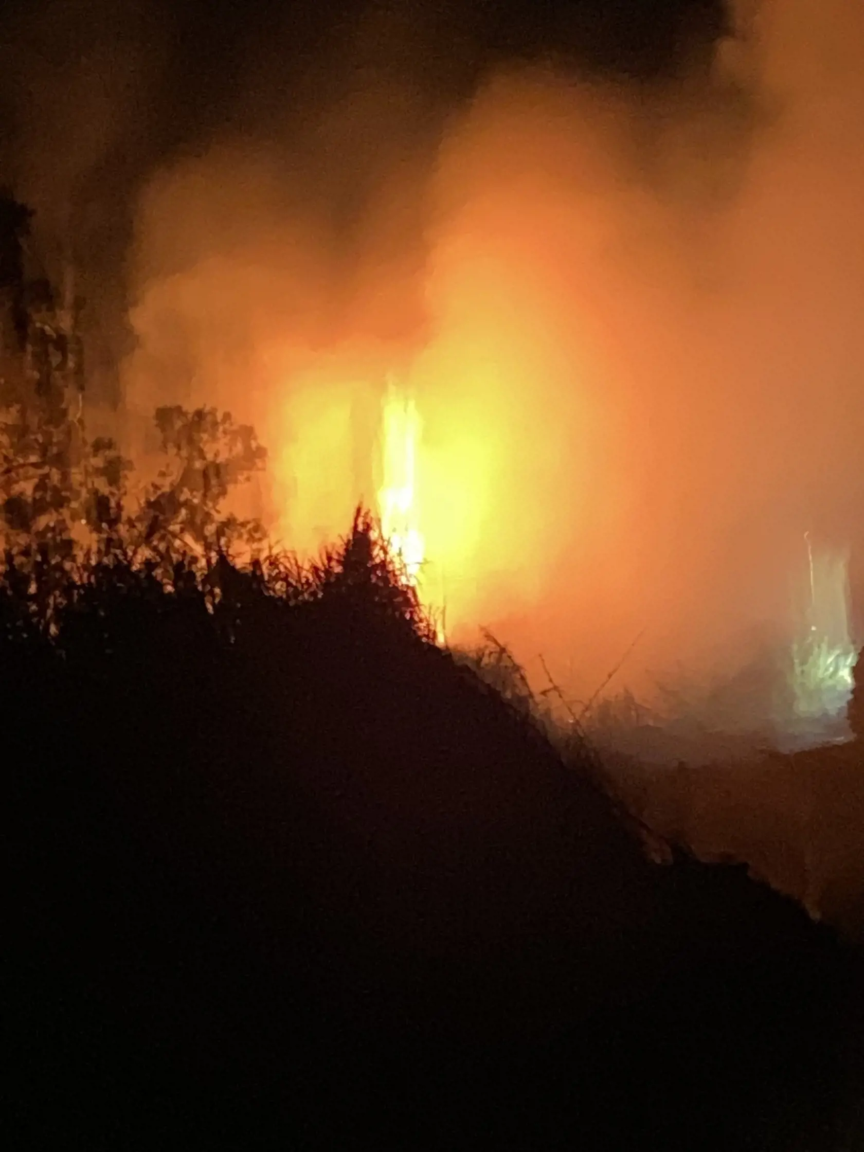 Hasičom sa na Cypre podarilo dostať pod kontrolu požiar, ktorý vypukol v pondelok večer a zničil približne 20 hektárov lesa, uviedli v utorok miestni predstavitelia. Táto ostrovná krajina v súčasnosti zažíva jednu z najdlhších vĺn horúčav vo svojej histórii.