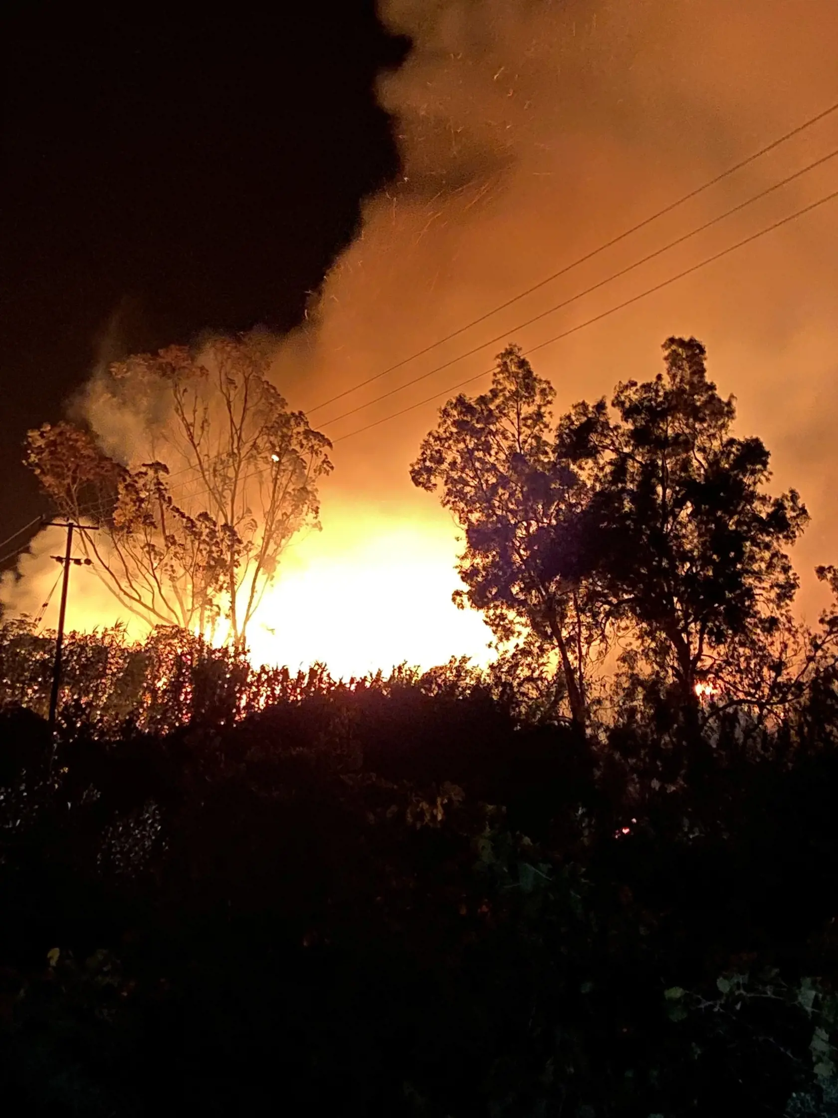Hasičom sa na Cypre podarilo dostať pod kontrolu požiar, ktorý vypukol v pondelok večer a zničil približne 20 hektárov lesa, uviedli v utorok miestni predstavitelia. Táto ostrovná krajina v súčasnosti zažíva jednu z najdlhších vĺn horúčav vo svojej histórii.
