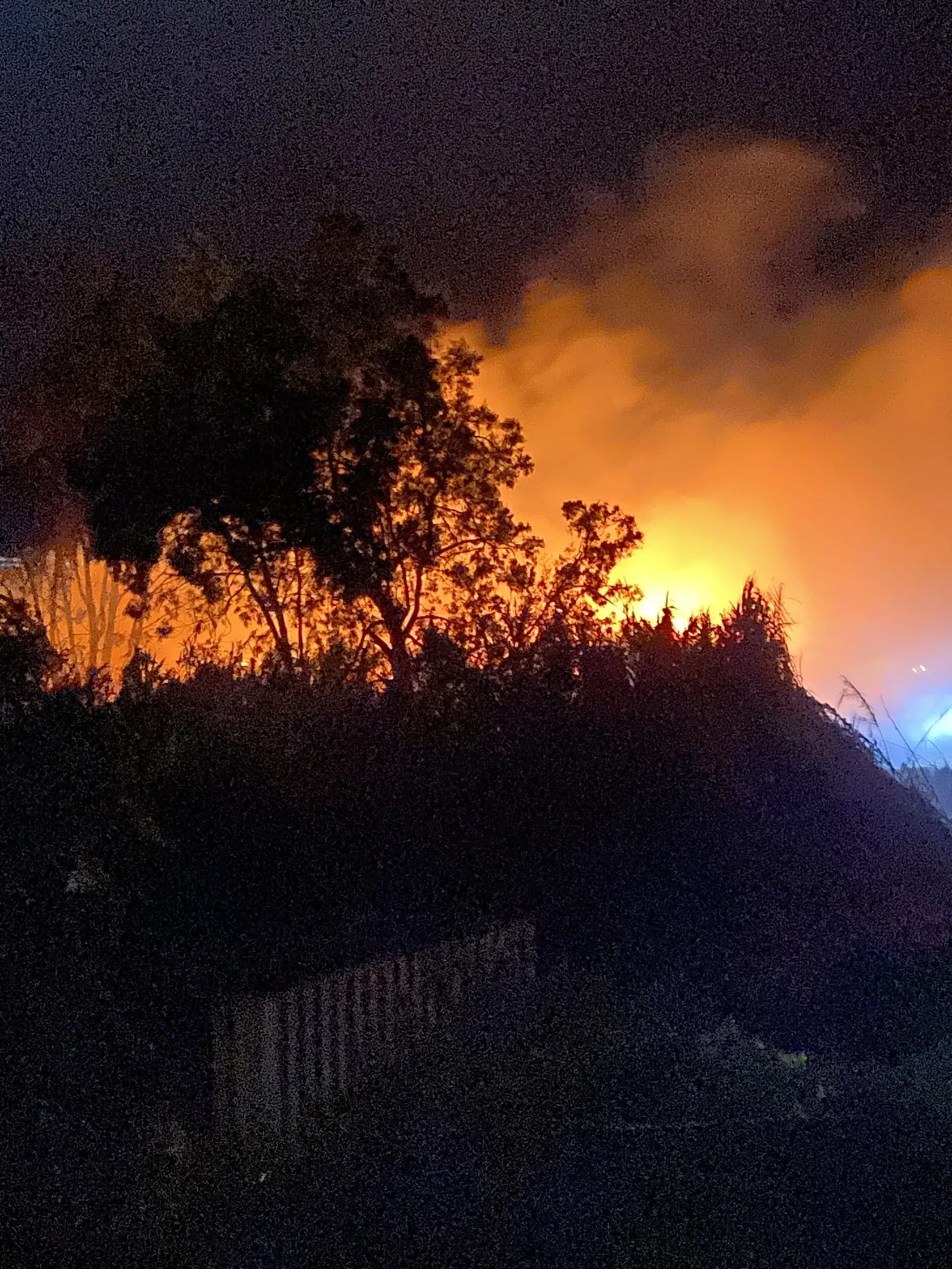 Hasičom sa na Cypre podarilo dostať pod kontrolu požiar, ktorý vypukol v pondelok večer a zničil približne 20 hektárov lesa, uviedli v utorok miestni predstavitelia. Táto ostrovná krajina v súčasnosti zažíva jednu z najdlhších vĺn horúčav vo svojej histórii.