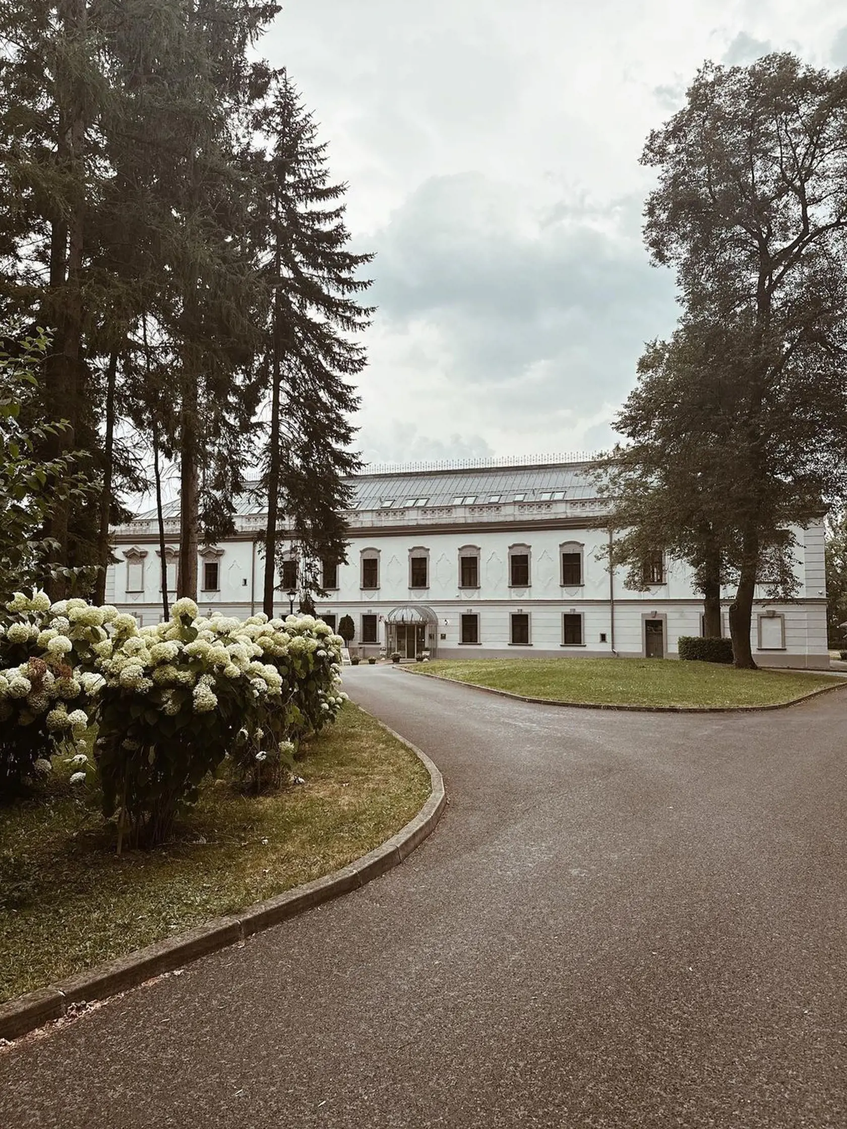Prekvapil ju romantickou luxusnou večerou, kde ju doslova “uniesol”! Ivana o ničom nevedela, bolo to prekvapenie a…Pozrite sa na tú kyticu! Romantika ako vínko!