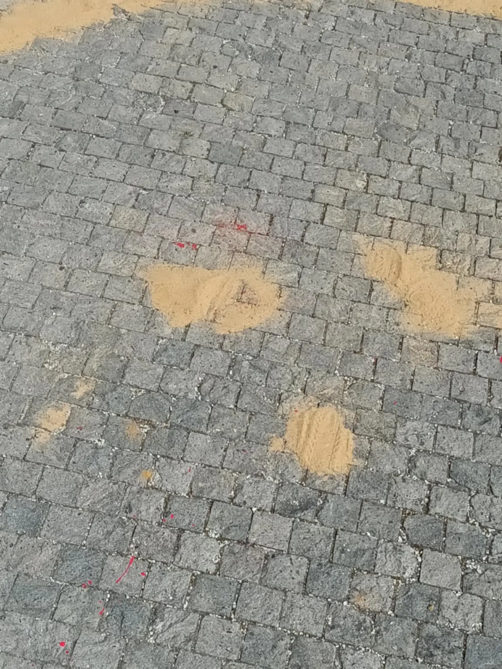 Pred koncertom Anny Netrebko niekto vylial pred budovou SND červenú farbu. Zamestnanci divadla to zasypali pieskom.