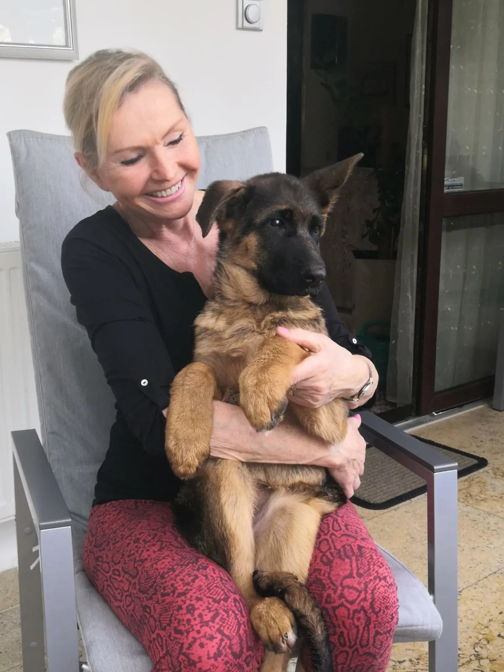 Helena Vondráčková miluje psov. Teraz má dvojročnú sučku Jessie.