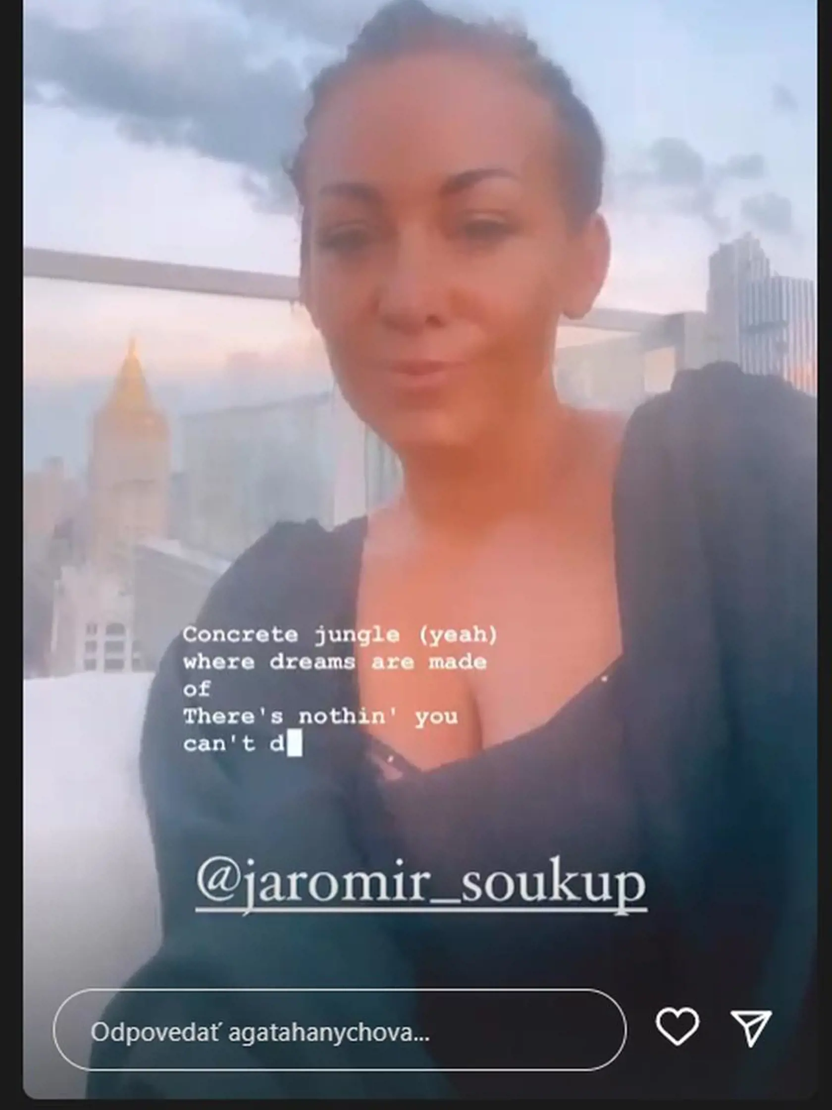 Agáta Hanychová, Jaromír Soukup