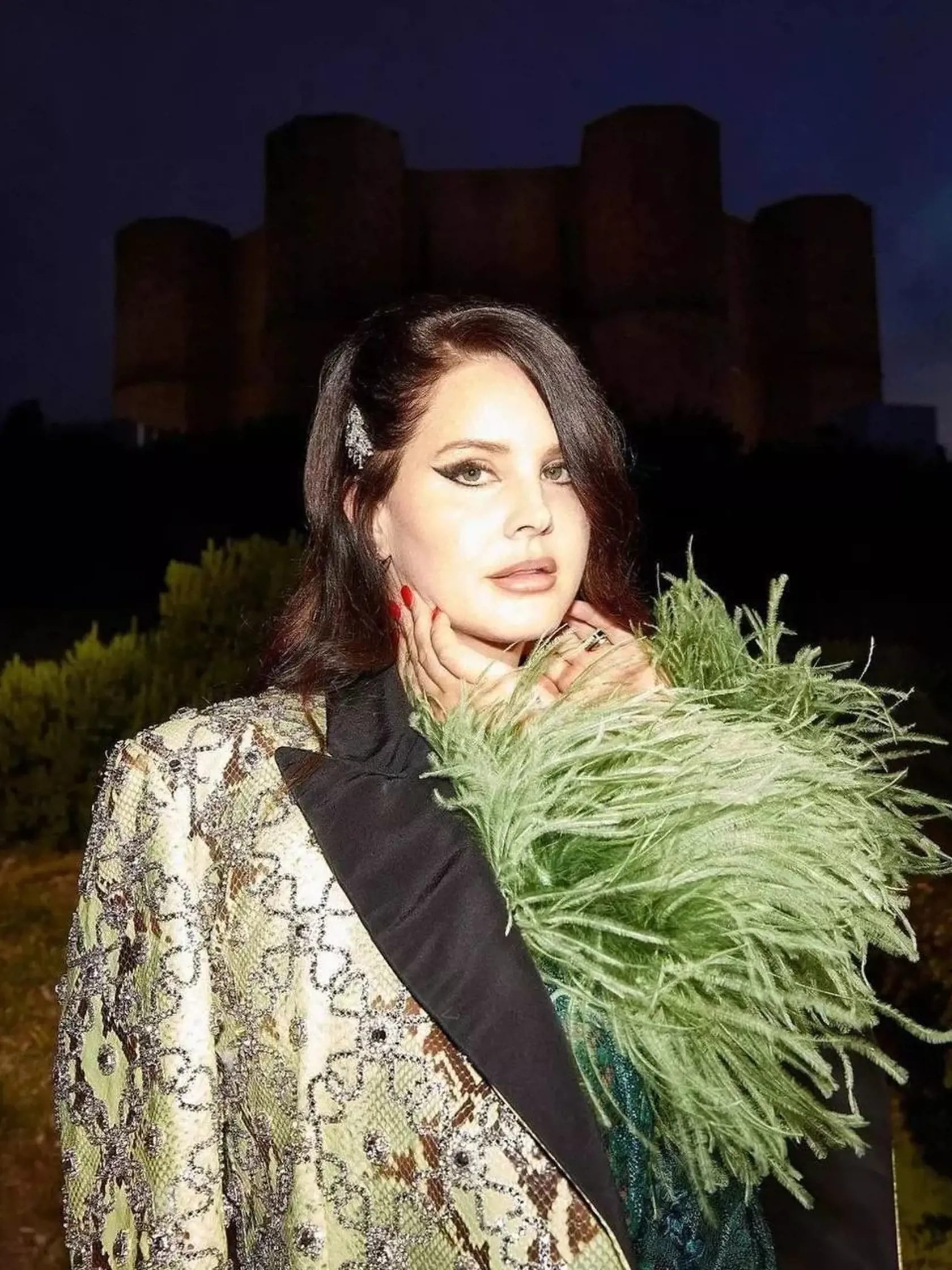 Lana Del Rey je americká speváčka.