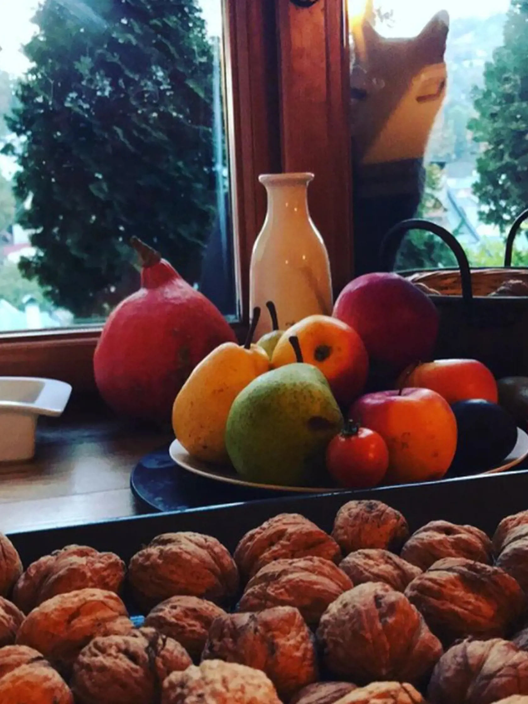 Takto si žije v jej milovanom meste.