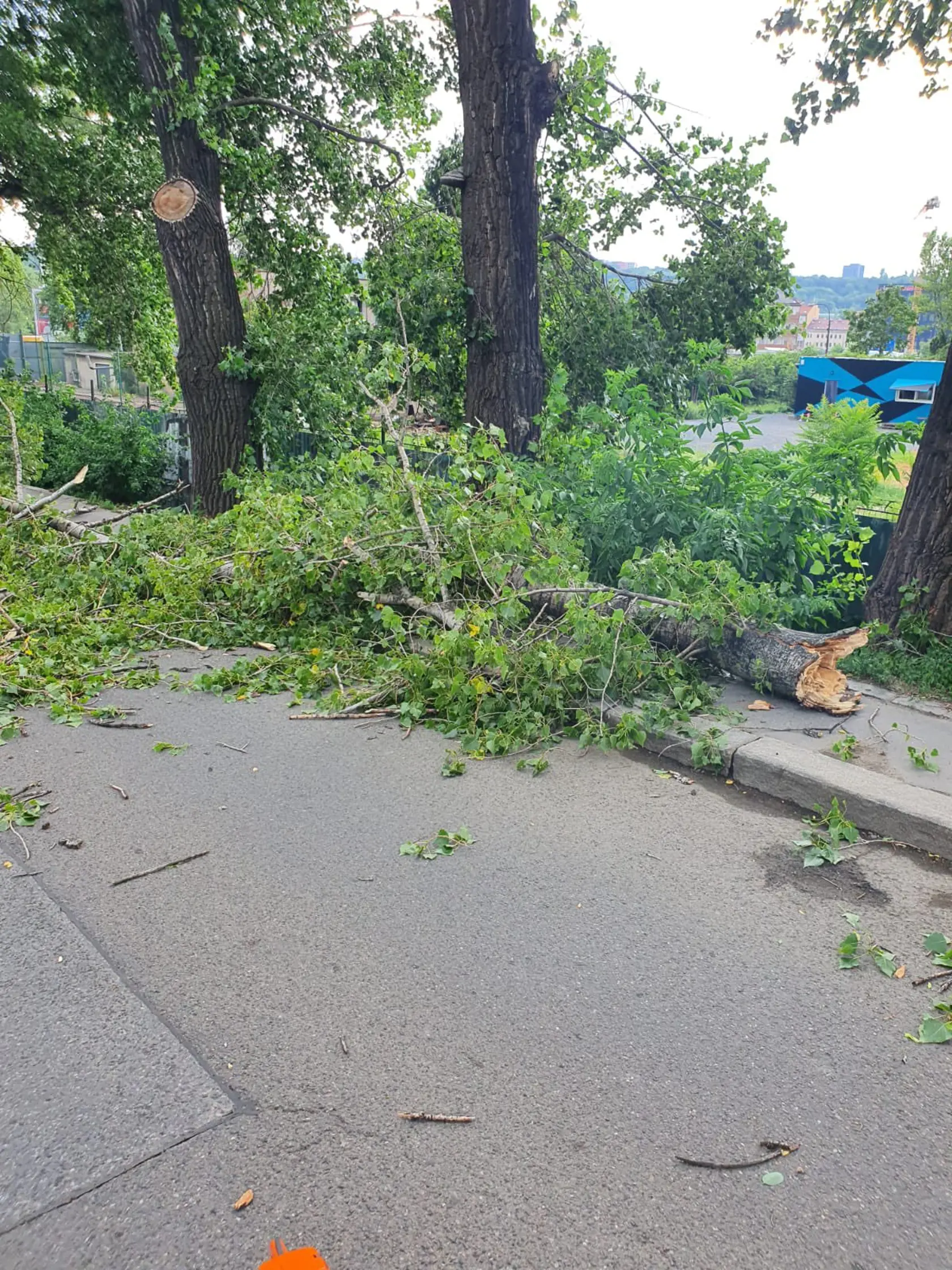 Hasiči v Prahe a stredných Čechách v sobotu popoludní odstraňovali následky búrky - šlo najmä o popadané stromy a zlomené vetvy.