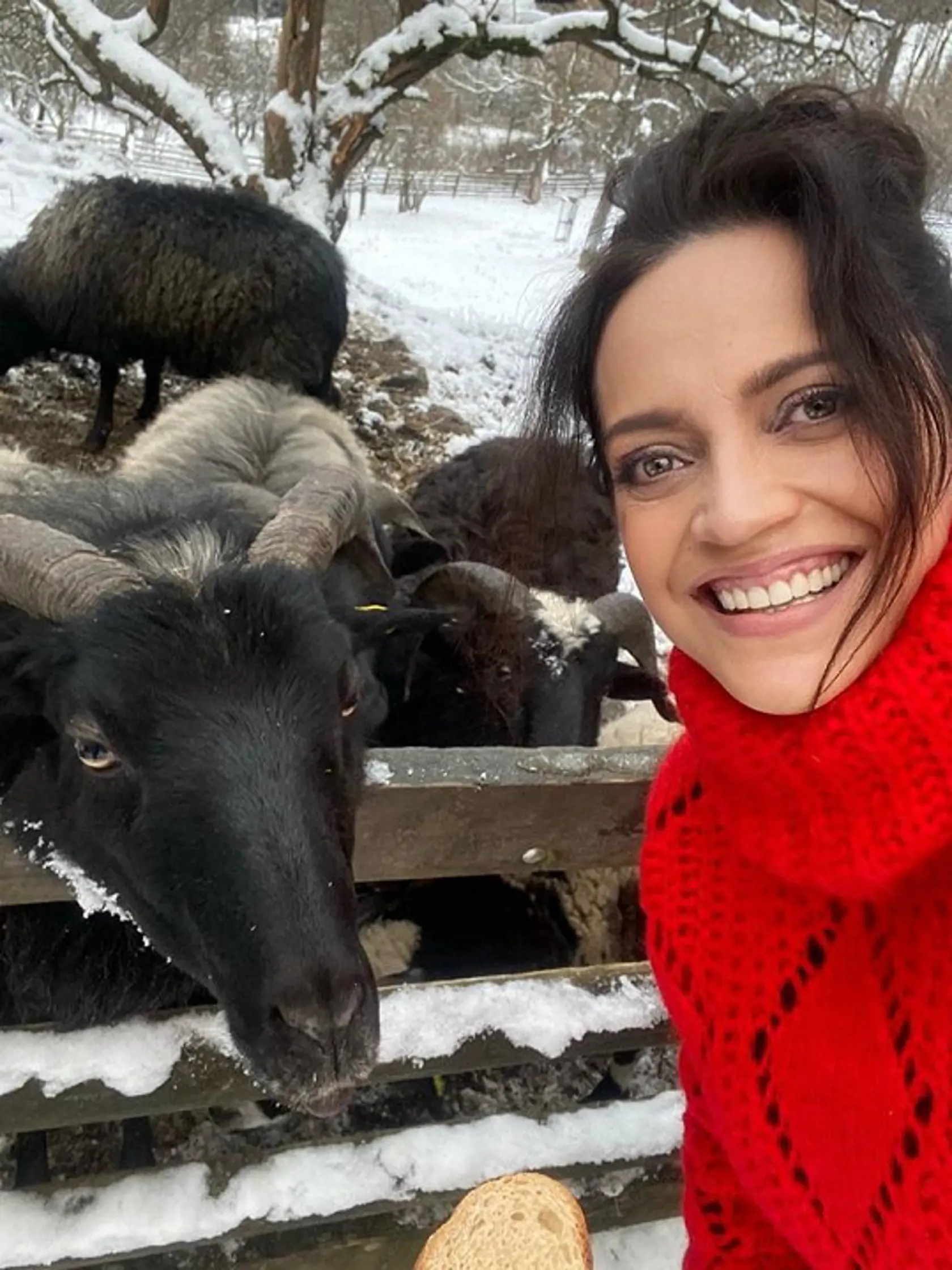 Lucka je na chalupe ako v rozprávke! No nie sú tie zvieratká nádherné?