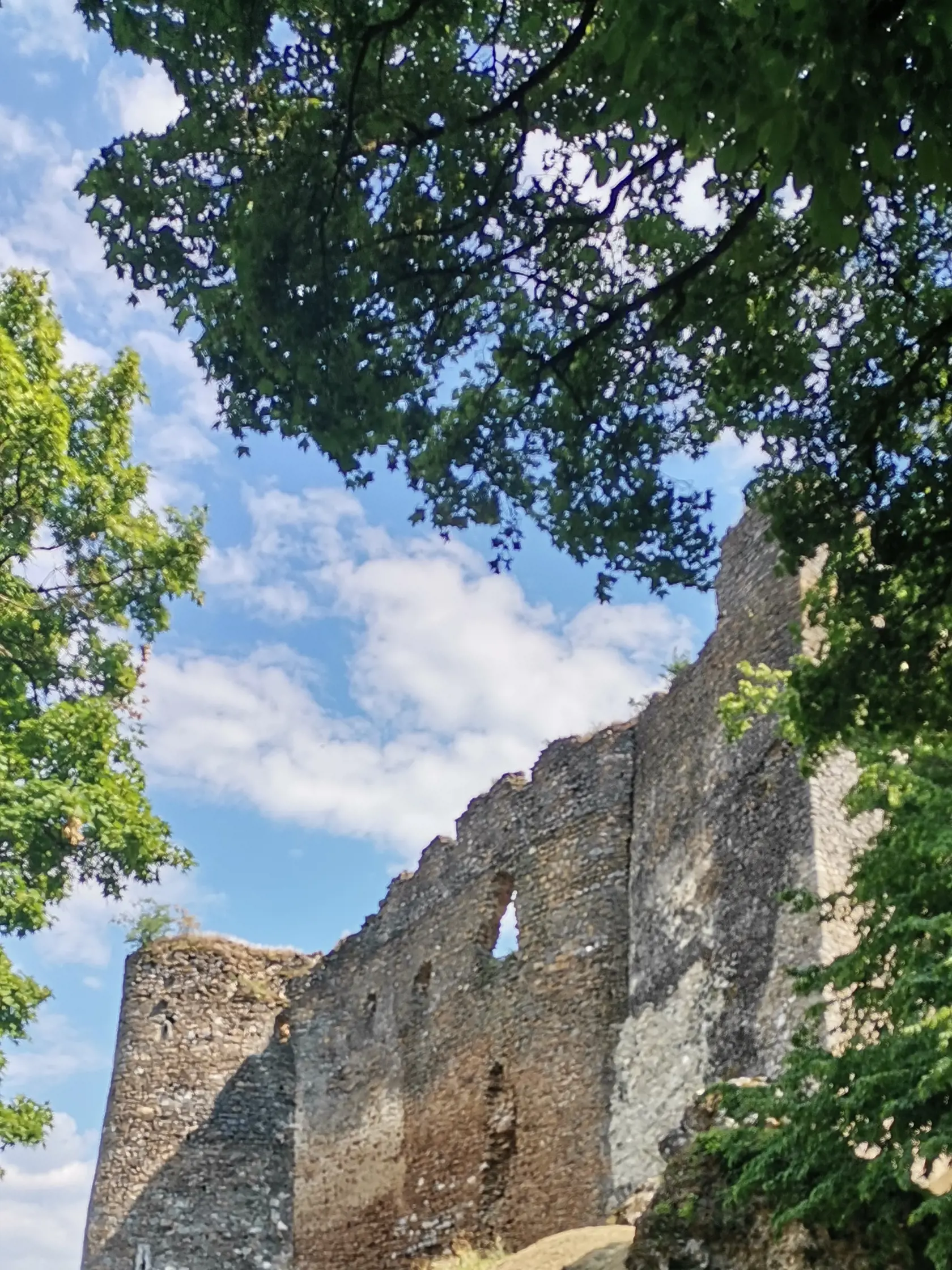 Hrad Čičva.