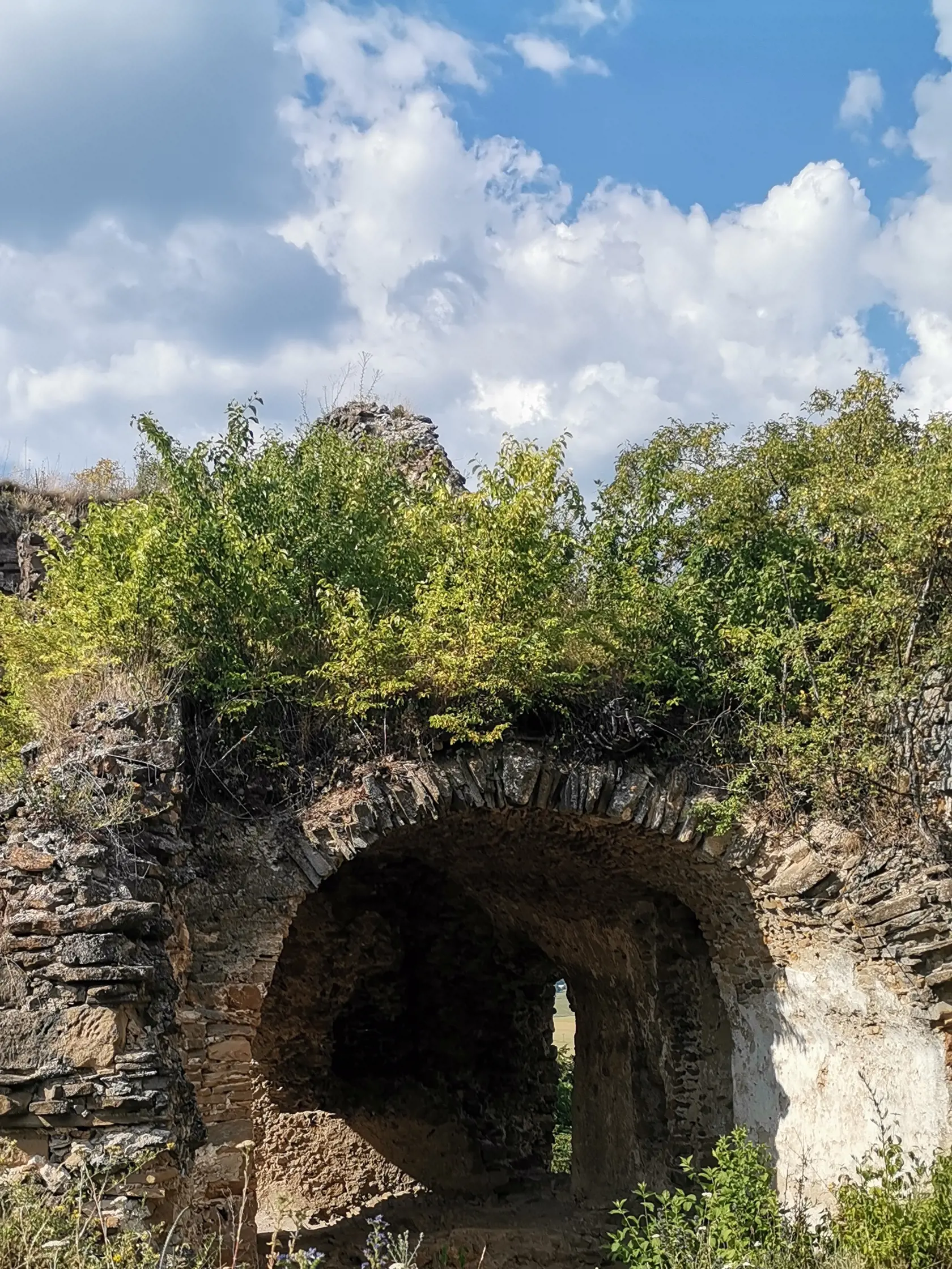 Hrad Čičva.
