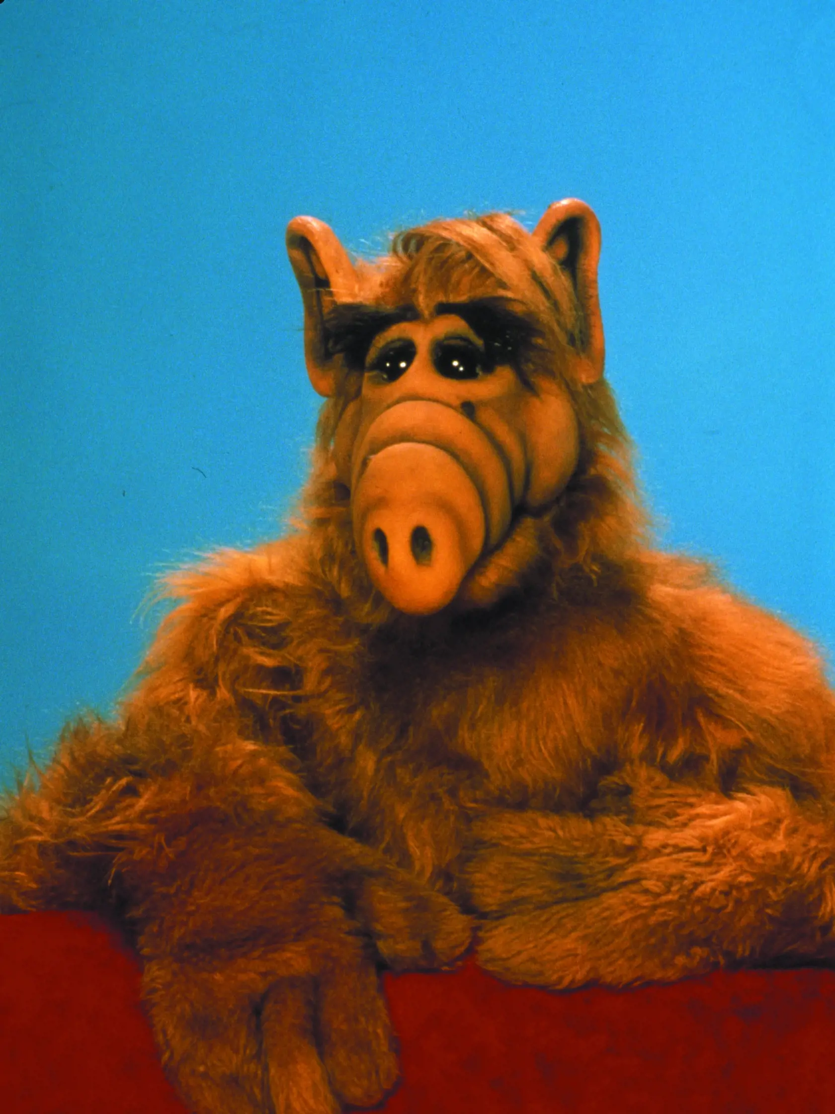 ALF