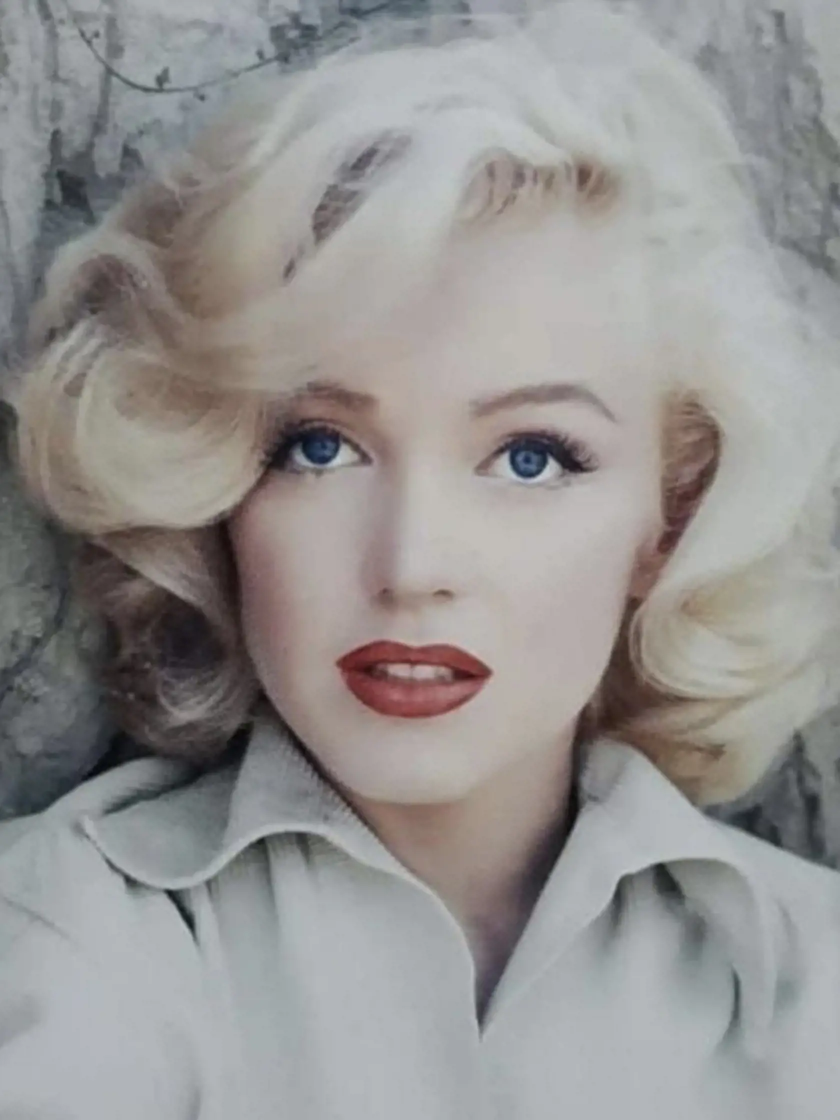Proporciám zlatého rezu sa blížia  tváre Marilyn Monroe, Toma Cruisa či egyptskej kráľovnej Nefertiti.
