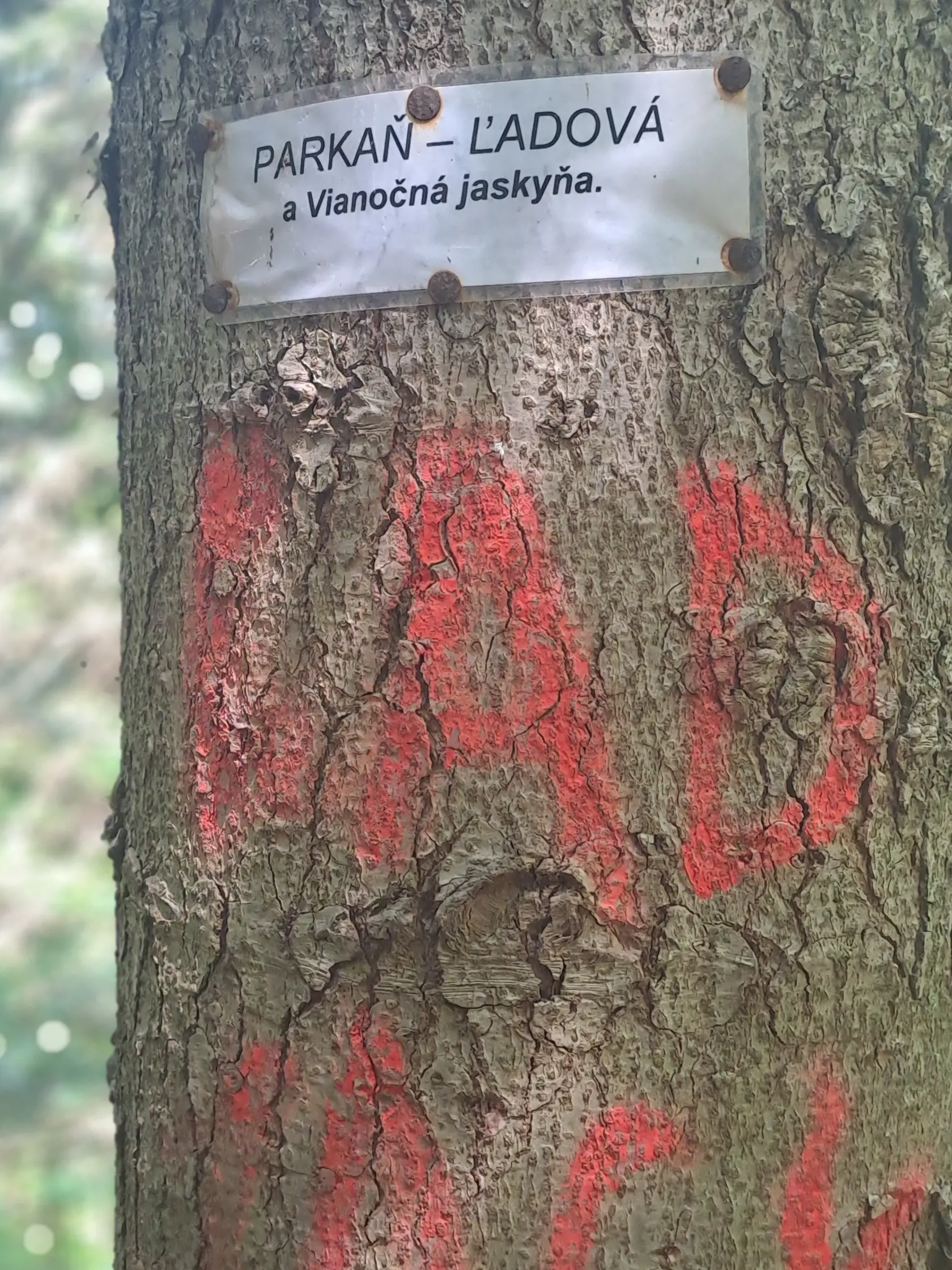 Vrch Mindžová a okolie