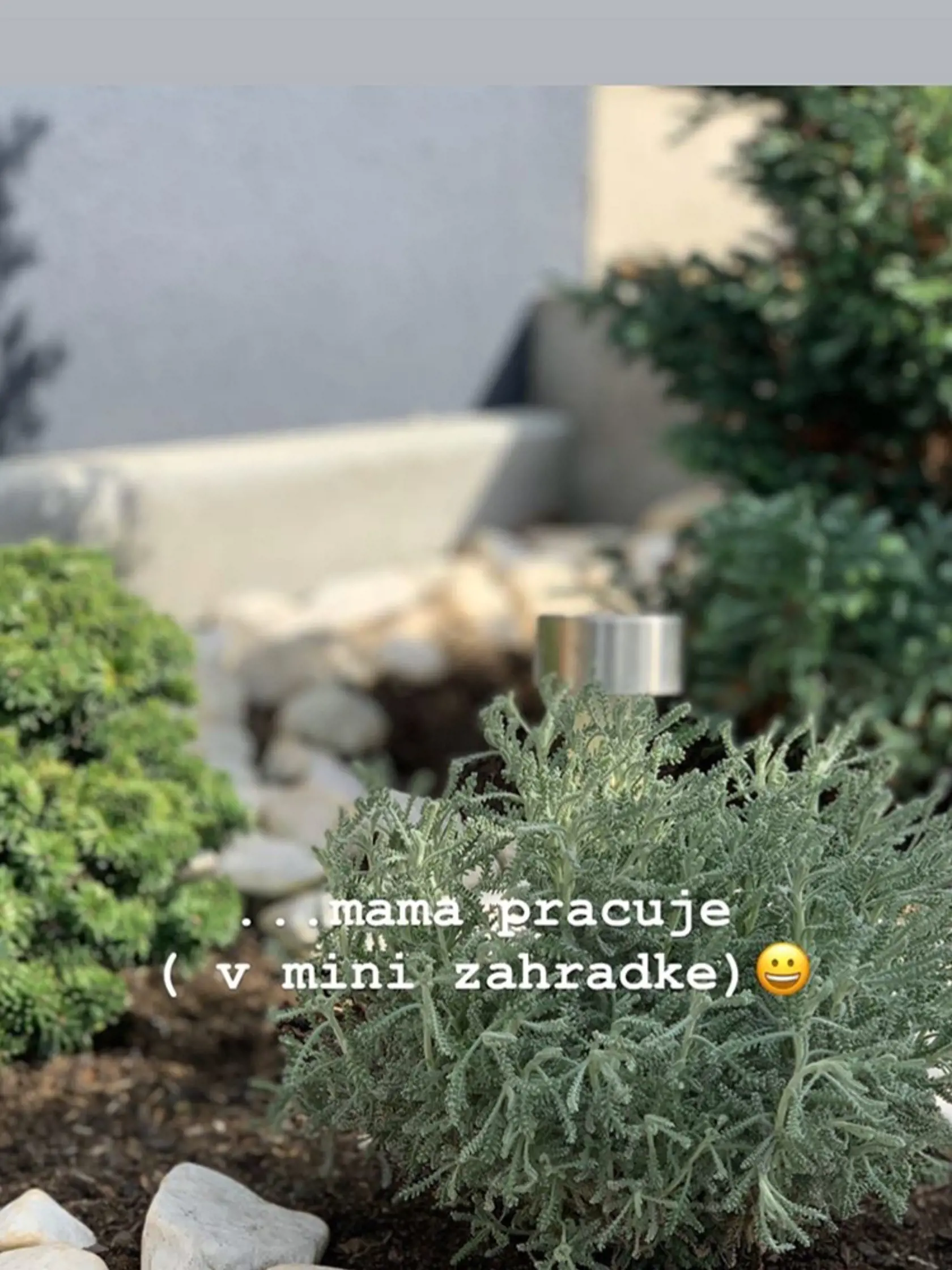 Karanténu si kráti aj prácou v záhradke.