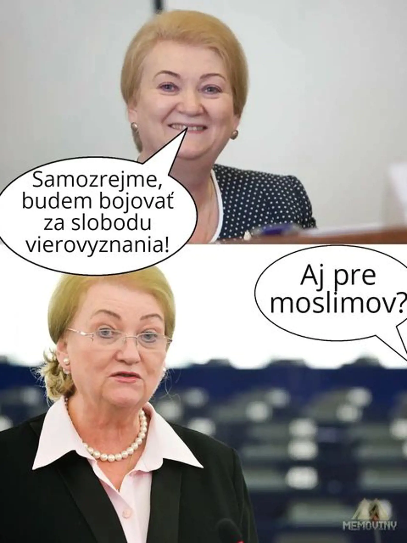 Vymenovanie konzervatívnej poslankyne Národnej rady Anny Záborskej do funkcie splnomocnenkyne vlády pre ochranu slobody vierovyznania spustilo lavínu vtipov