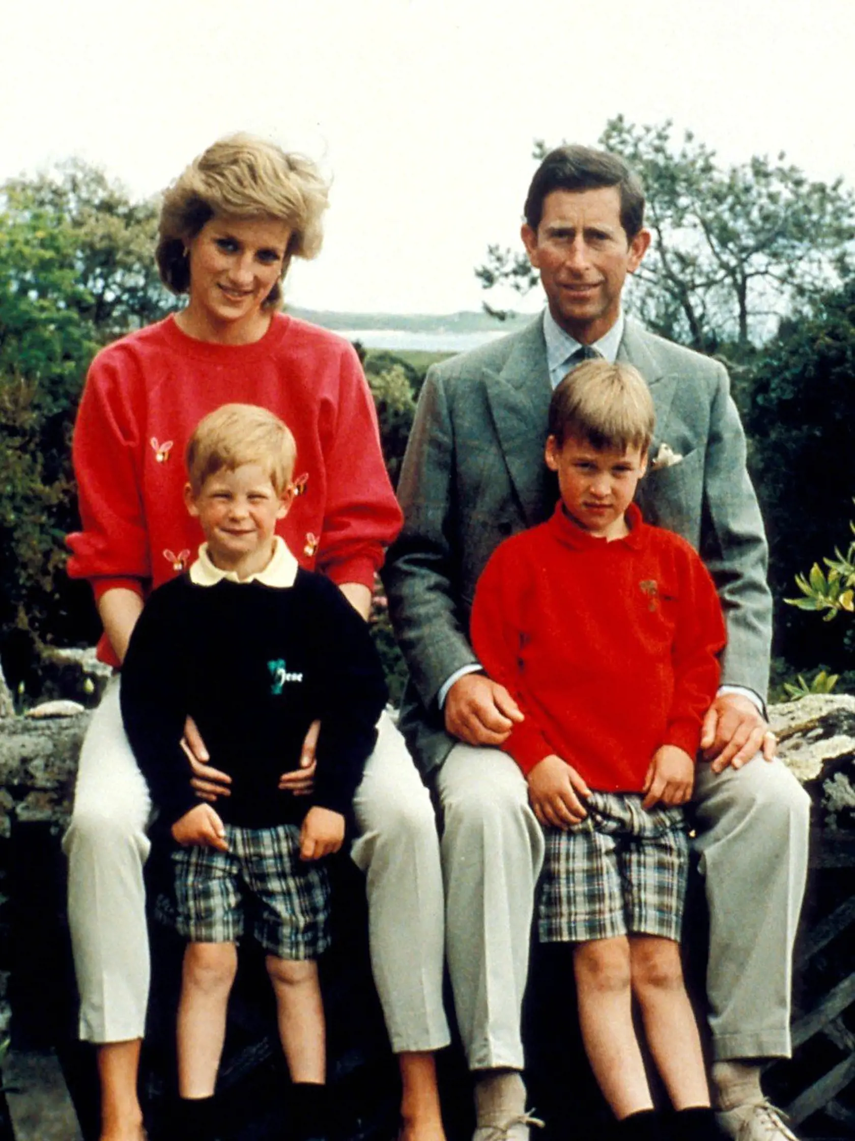 Princezná Diana, princ Charles, princ Harry a princ William