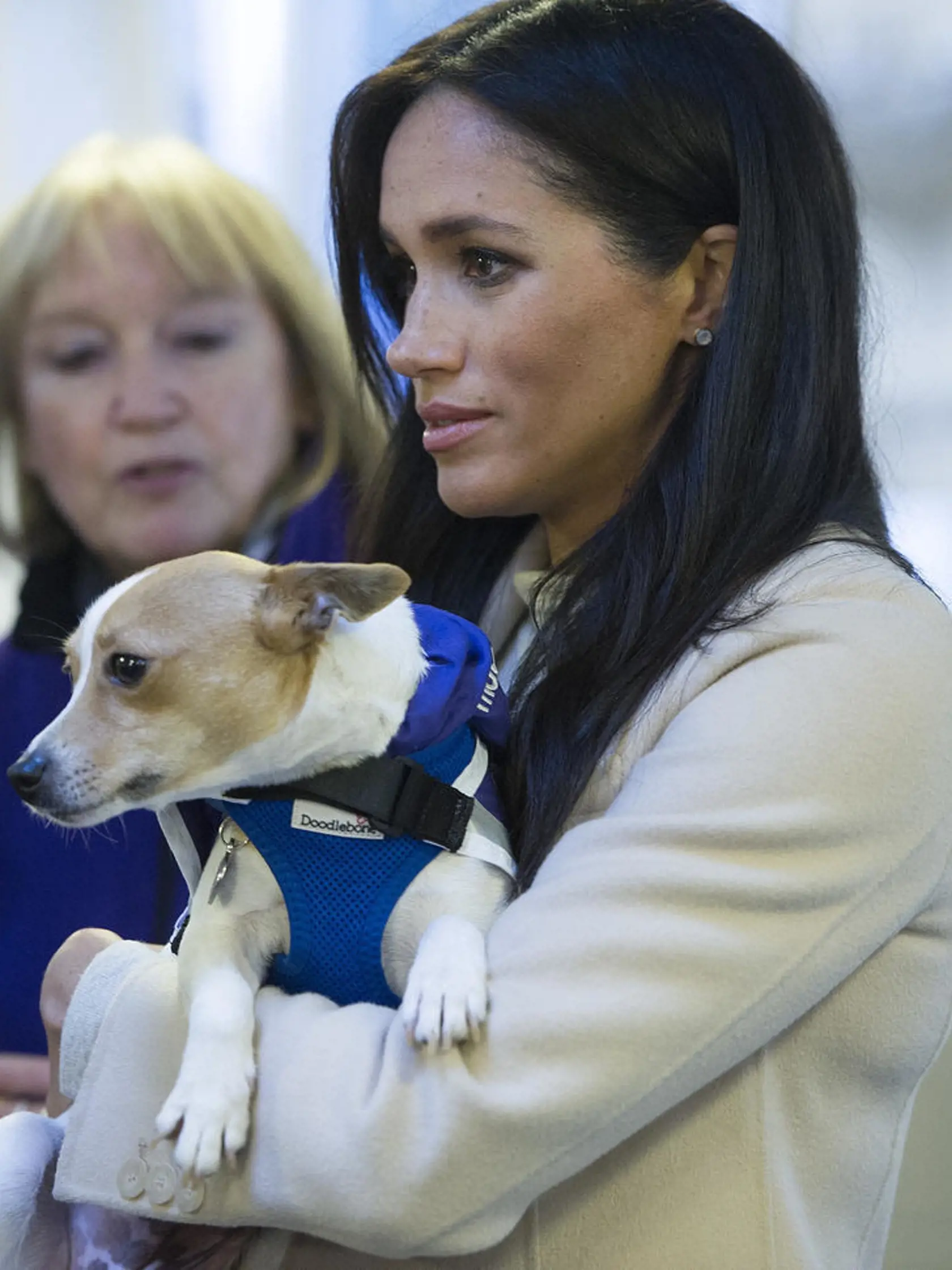 Napriek tomu, že Meghan Markle sa snaha zapadnúť do britskej monarchie uprieť nedá, nešlo jej to vždy úplne hladko.