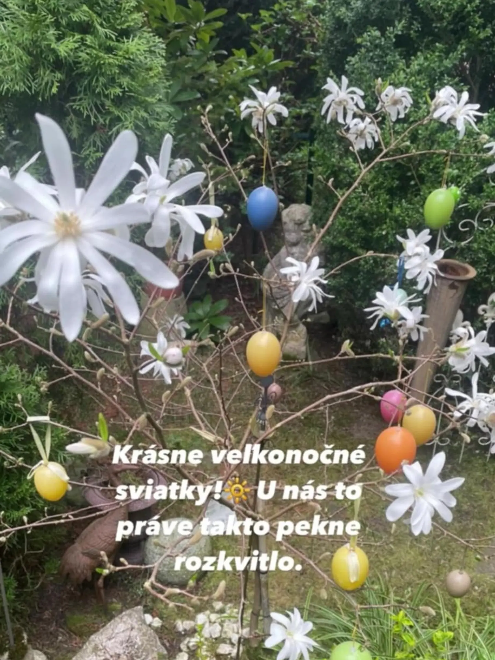 Eva Máziková sa pochválila rozkvitnutou záhradou a veľkonočnou výzdobou. 