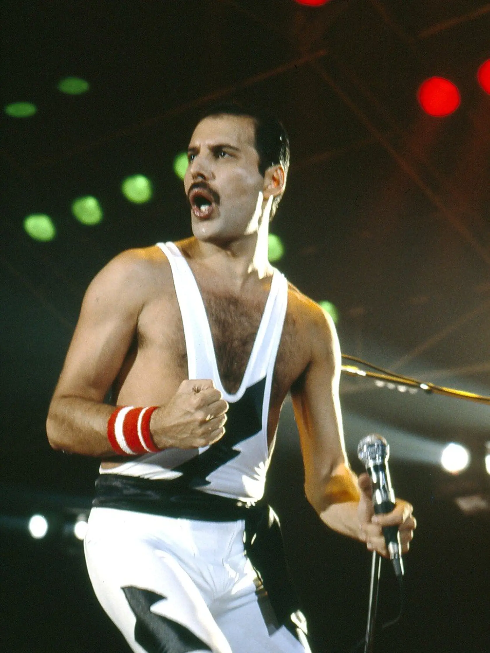 Najbližšou priateľkou speváka Freddieho Mercuryho (1946-1991) bola Mary Austin. Žili spolu od roku 1970 do roku 1976 a práve jej venoval pieseň Love of My Life. Ich romantický vzťah ukončilo Freddieho priznanie k bisexualite. Mercury sa odsťahoval, ale Mary kúpil byt neďaleko svojho. Posledné dni spevákovho života Mary sedela pri jeho posteli.