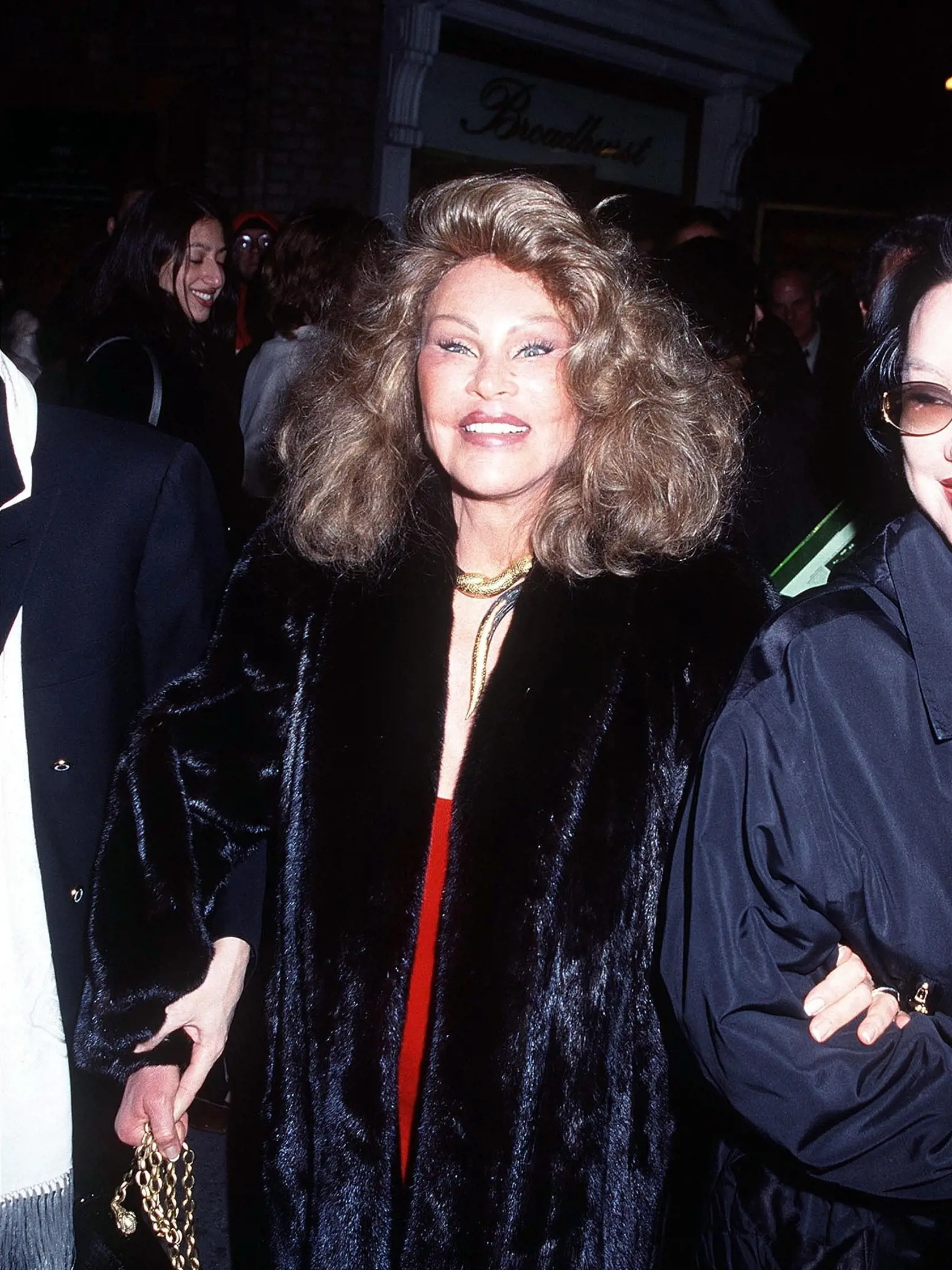 Jocelyn Wildenstein 