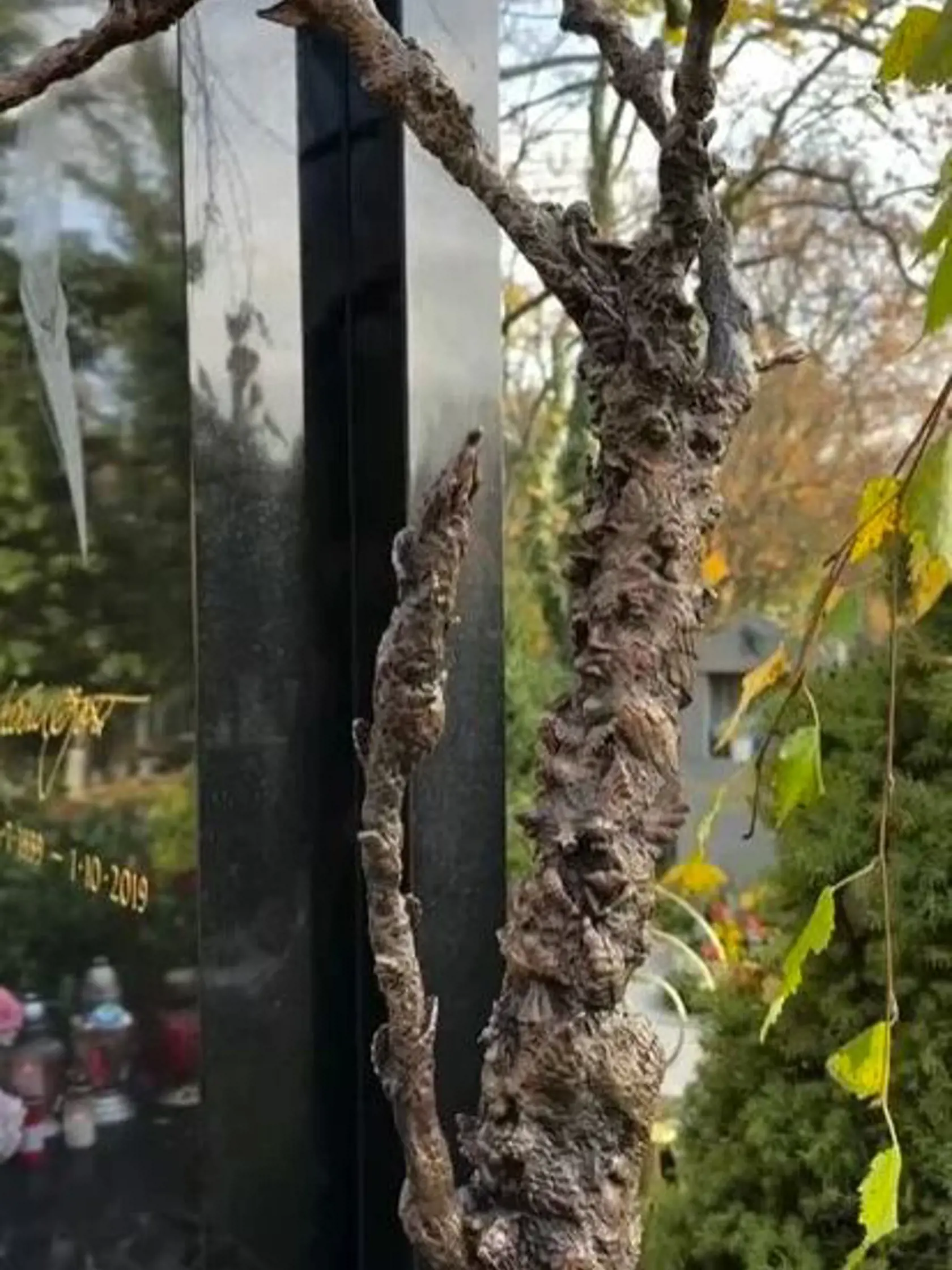 Vdova Ivana Gottová nechala vyrobiť novú sochu pri hrobe manžela Karla Gotta - bronzový strom z anjelikov, ktoré fanúšikovia naznášali za tie roky od jeho smrti.