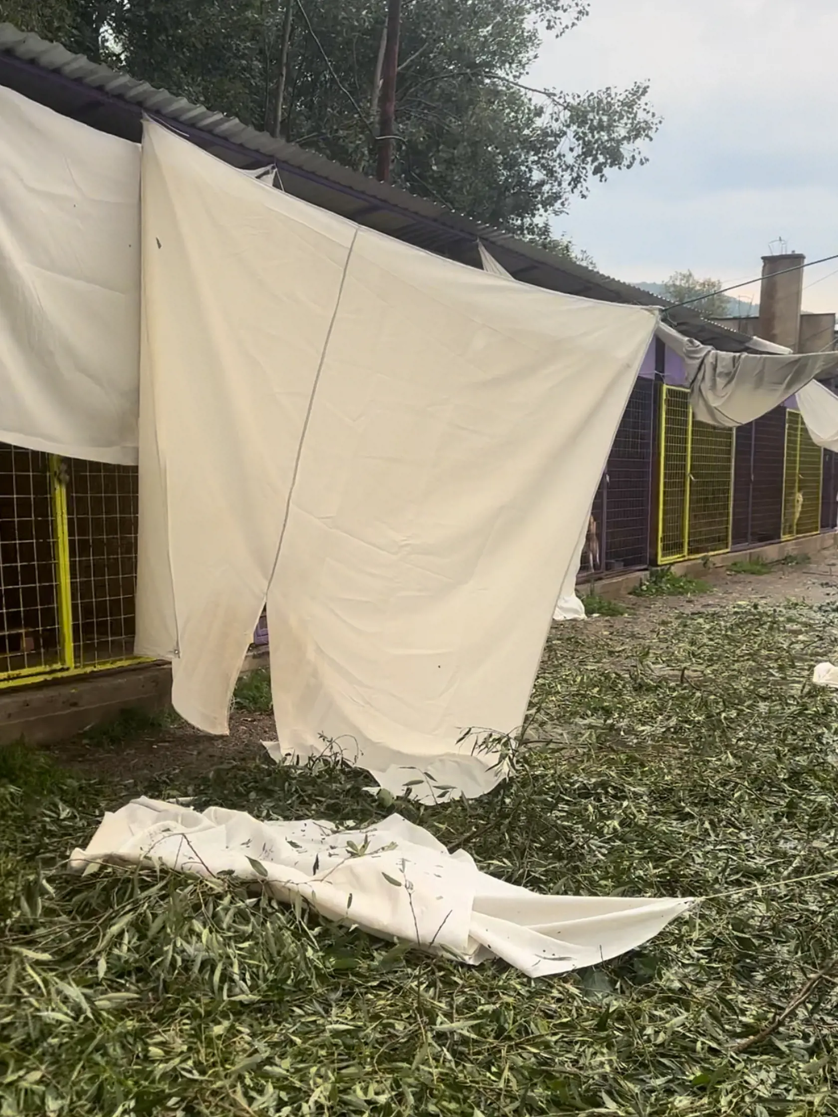 “Boli v strašnom šoku. Chodili vystresovane stále dokola a krúpy mali až v búdach. Nemali sa chudiatka ani kde skryť,” hovorí Janka a potvrdzuje, že takéto počasie je v Brezne čoraz častejšie.