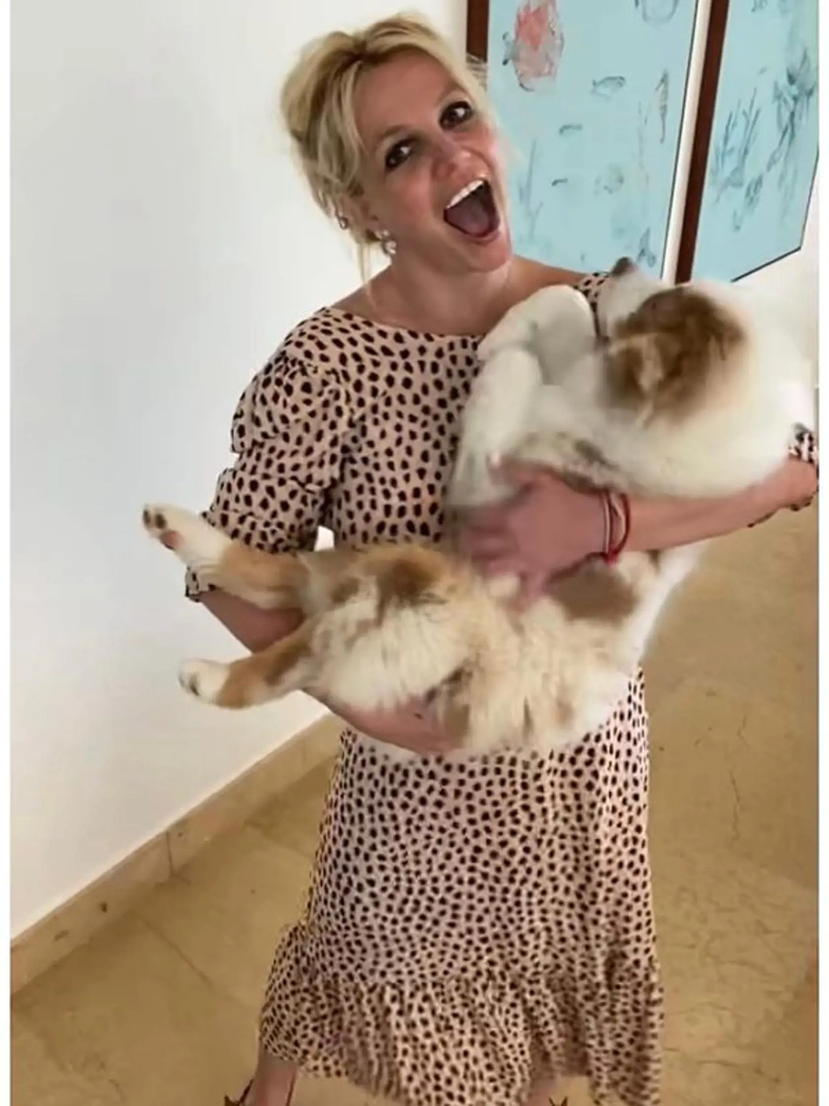 Britney Spears sa od súdneho verdiktu, ktorý jej vrátil slobodu, rada fotí nahá alebo polonahá.