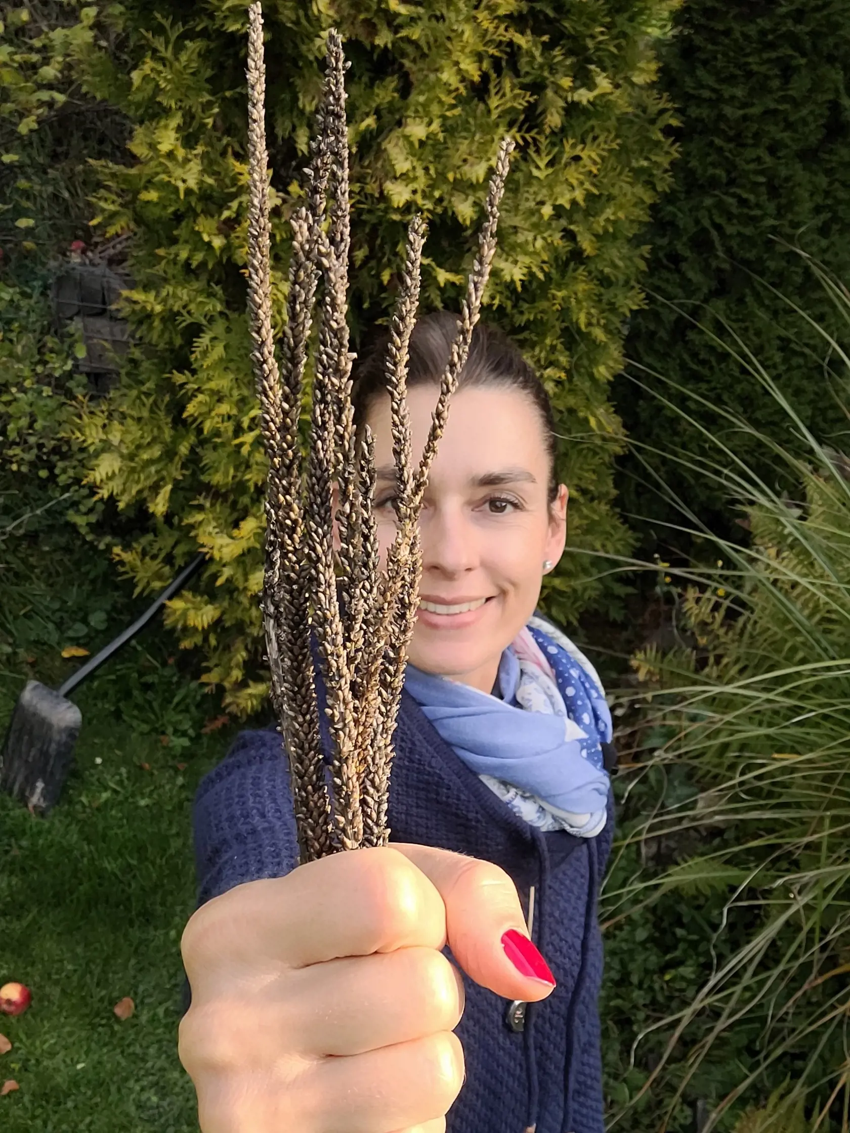 Odstraňujete divoké buriny v záhrade? Diana radí nerobiť TÚTO CHYBU! Sú v BIO kvalite a ZADARMO