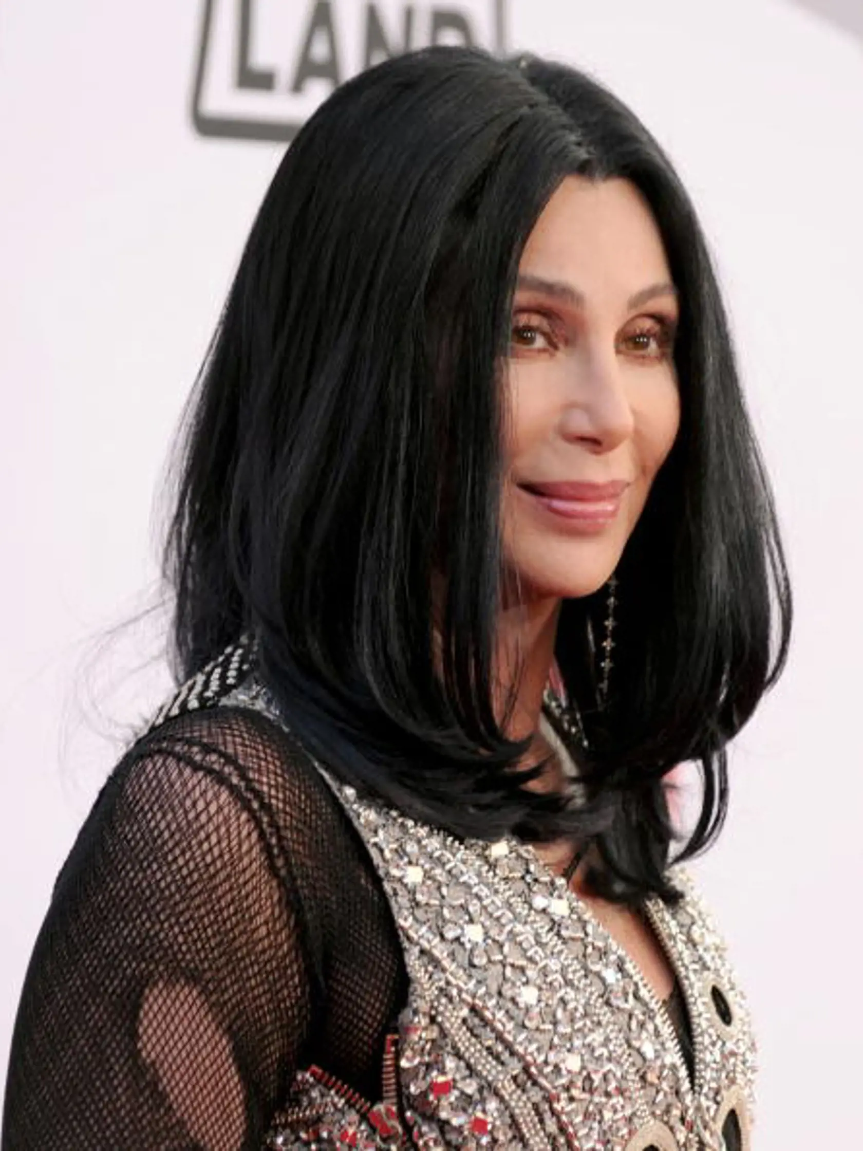 CULVER CITY, CA - JUNE 10:  Actress Cher arrives at the 38th AFI Life Achievement Award honoring Mike Nichols held at Sony Pictures Studios on June 10, 2010 in Culver City, California.  (Photo by Alberto E. Rodriguez/Getty Images)