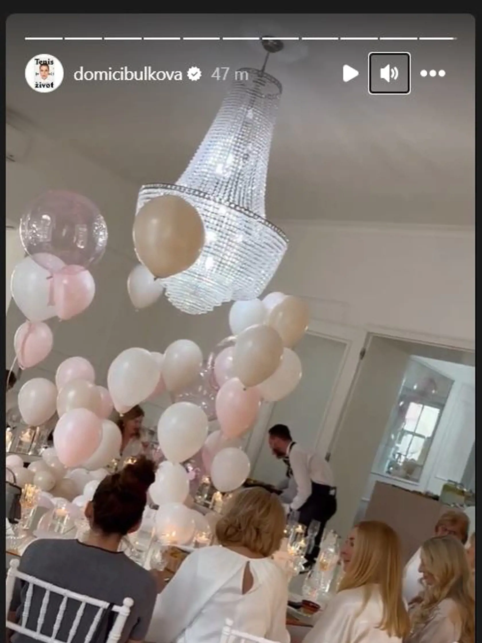 Dominika Cibulková na instagrame ukázala zábery z baby showeru pred druhým pôrodom.