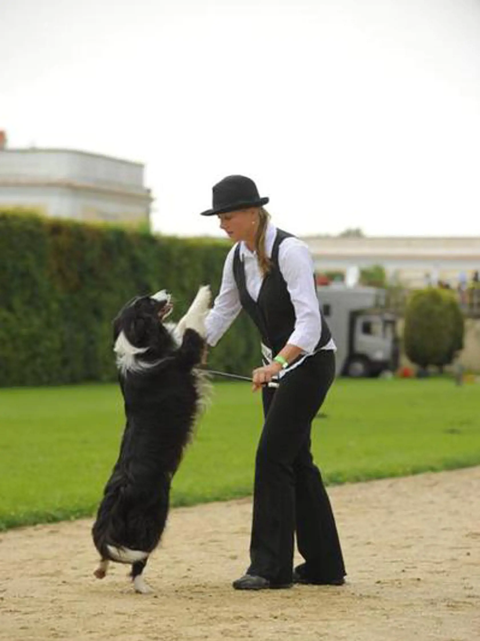 Smolíková + Keysi (23)
- psie agility