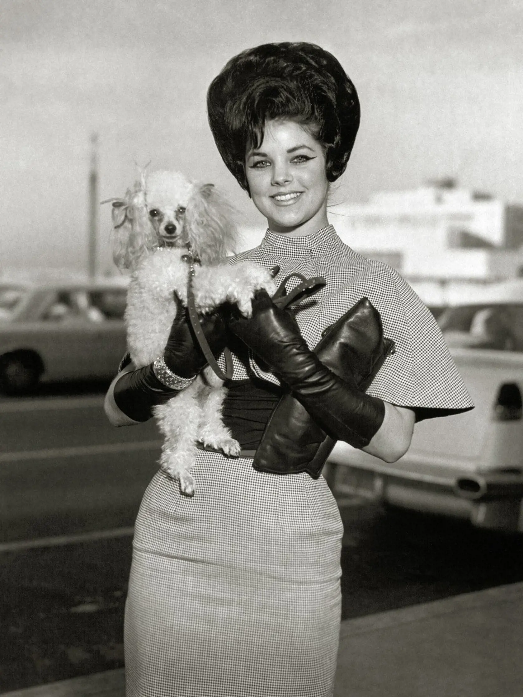 Elvis Presley's wife, Priscilla Presley, with pet poodle circa 1965, Image: 320465194, License: Rights-managed, Restrictions: For Editorial Use Only -, Model Release: no, Credit line: Profimedia, Hollywood Archive