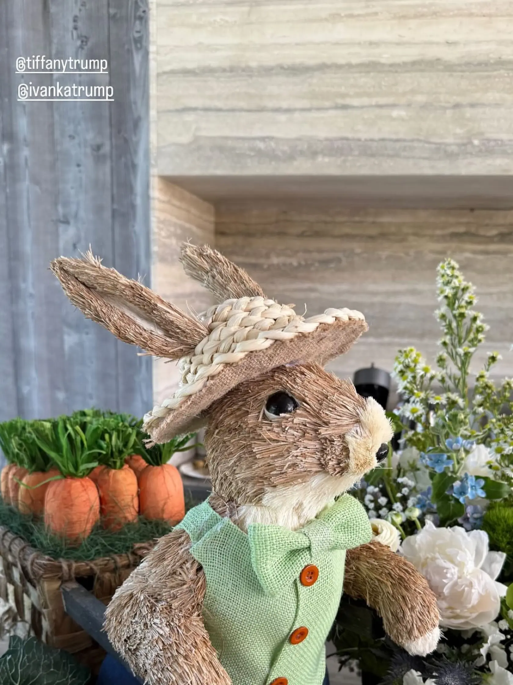 Ivanka Trump zorganizovala pre tehotnú sestru Tiffany baby shower. Všetko v dokonalom súlade so svetom anglickej spisovateľky Beatrix Potter, autorky slávneho zajačika z knihy Dobrodružstvá zajačika Petríka.