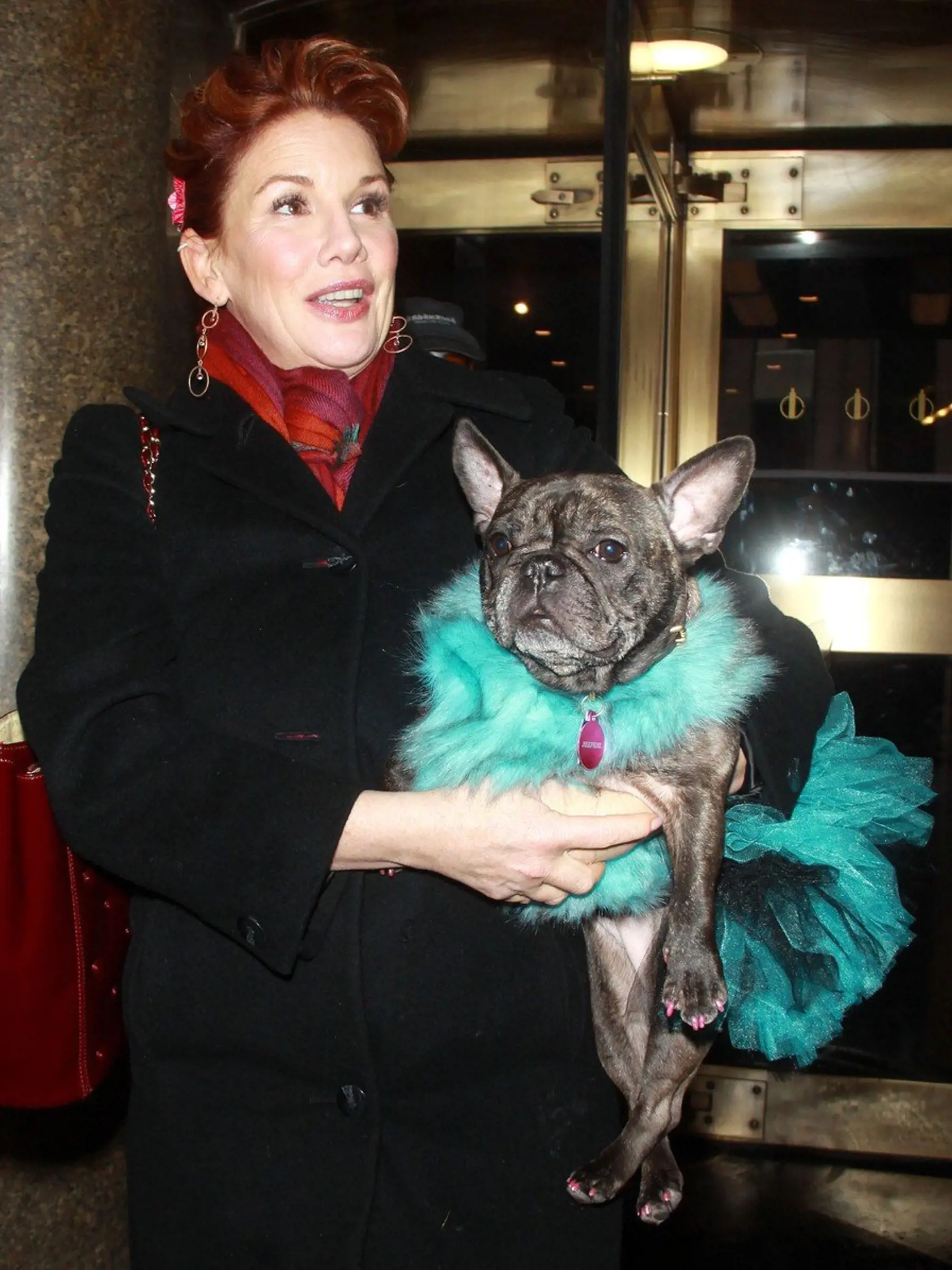 Melissa Gilbert  'New York Live!' show, New York, America - 22 Jan 2014  Melissa Gilbert at  NBC's New York Live to talk about her new dog book 'Daisy and Josephine', Image: 231777518, License: Rights-managed, Restrictions: , Model Release: no, Credit line: Profimedia, TEMP Rex Features