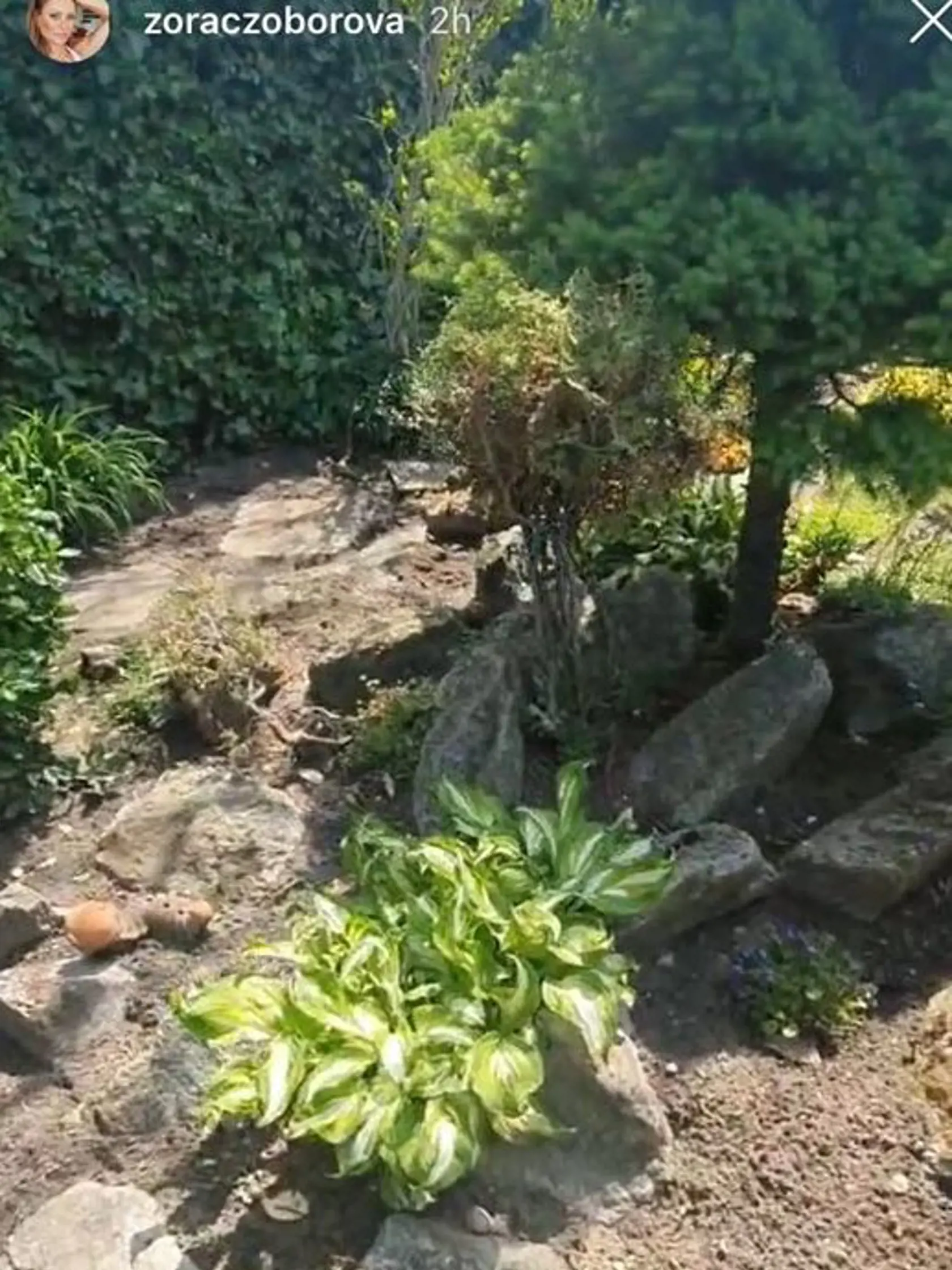 Záhrada Zory Czoborovej.