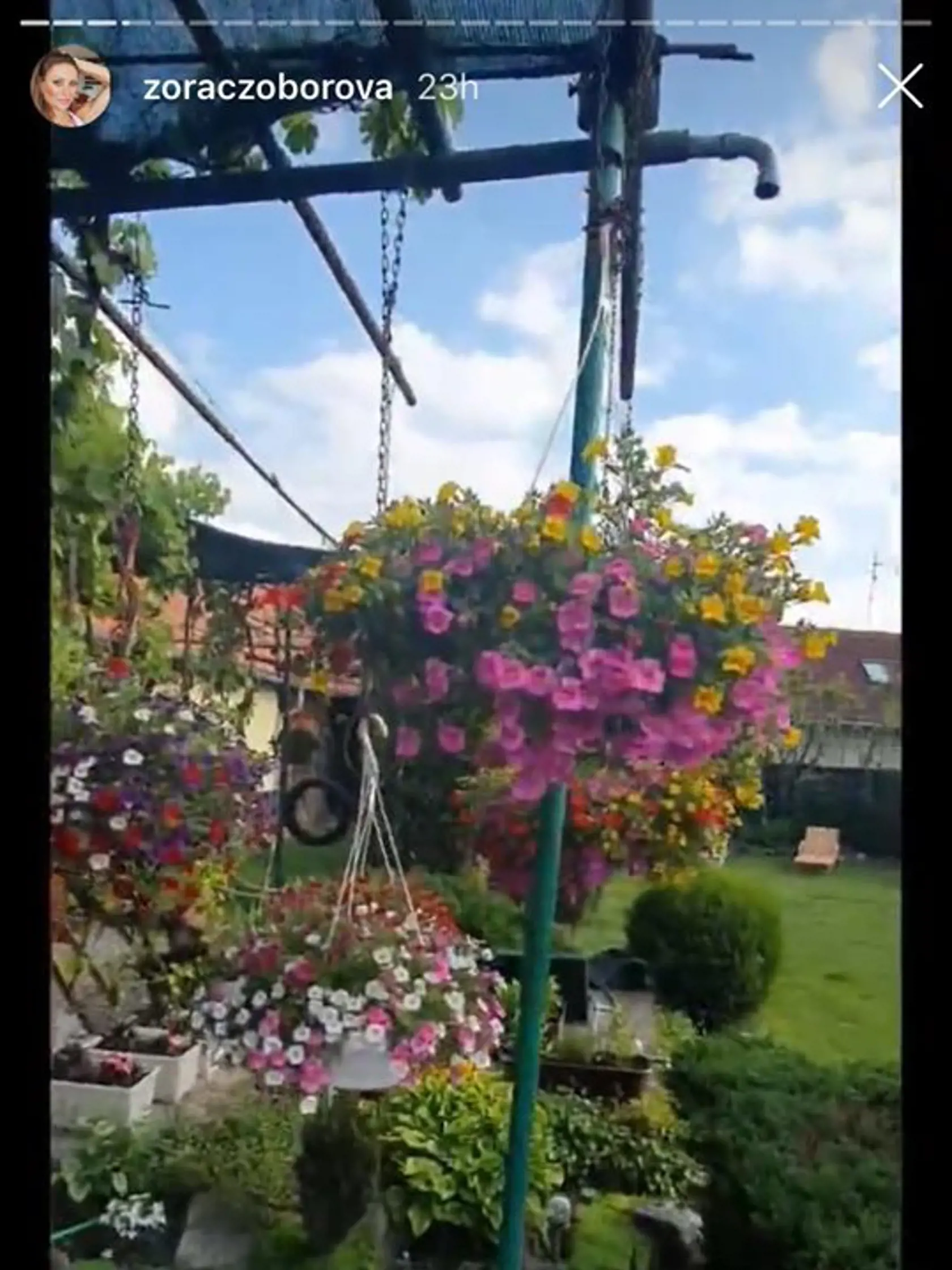 Kvetinové kráľovstvo na chalupe u Zory Czoborovej.