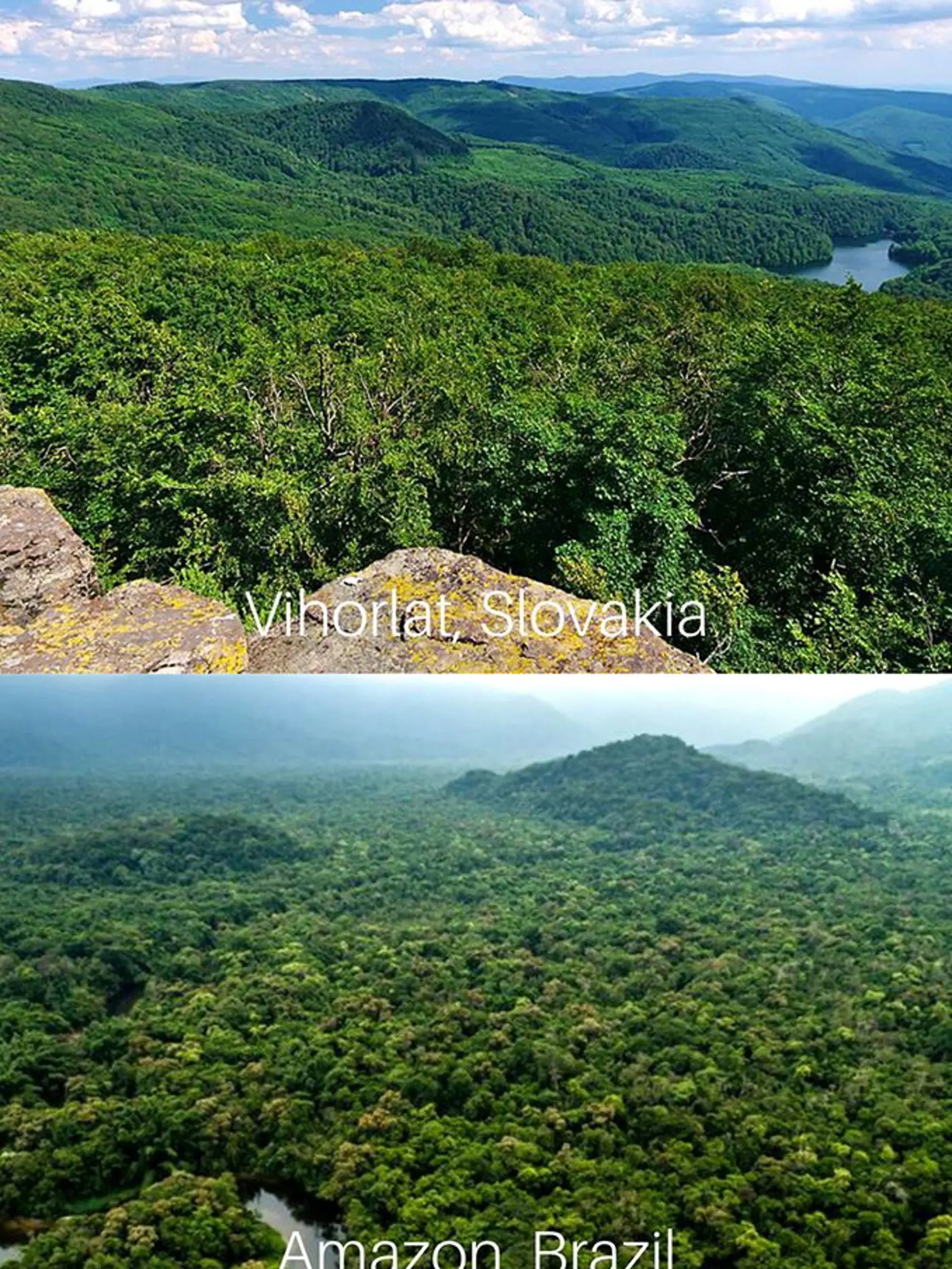 Vihorlat je najvyšší vrch sopečného pohoria a výrazná dominanta Vihorlatských vrchov, ktoré dostali názov práve podľa neho. Vihorlat je označovaný za najvyšší  bod okresu Humenné.
Cestovatelia porovnávajú naše pohorie s Amazonským pralesom, ktorého rozloha je neuveriteľných 5 500 000 km2  a rozprestiera sa na území mnohých štátov Južnej Ameriky. Najväčšia časť pokrýva územie Brazílie.