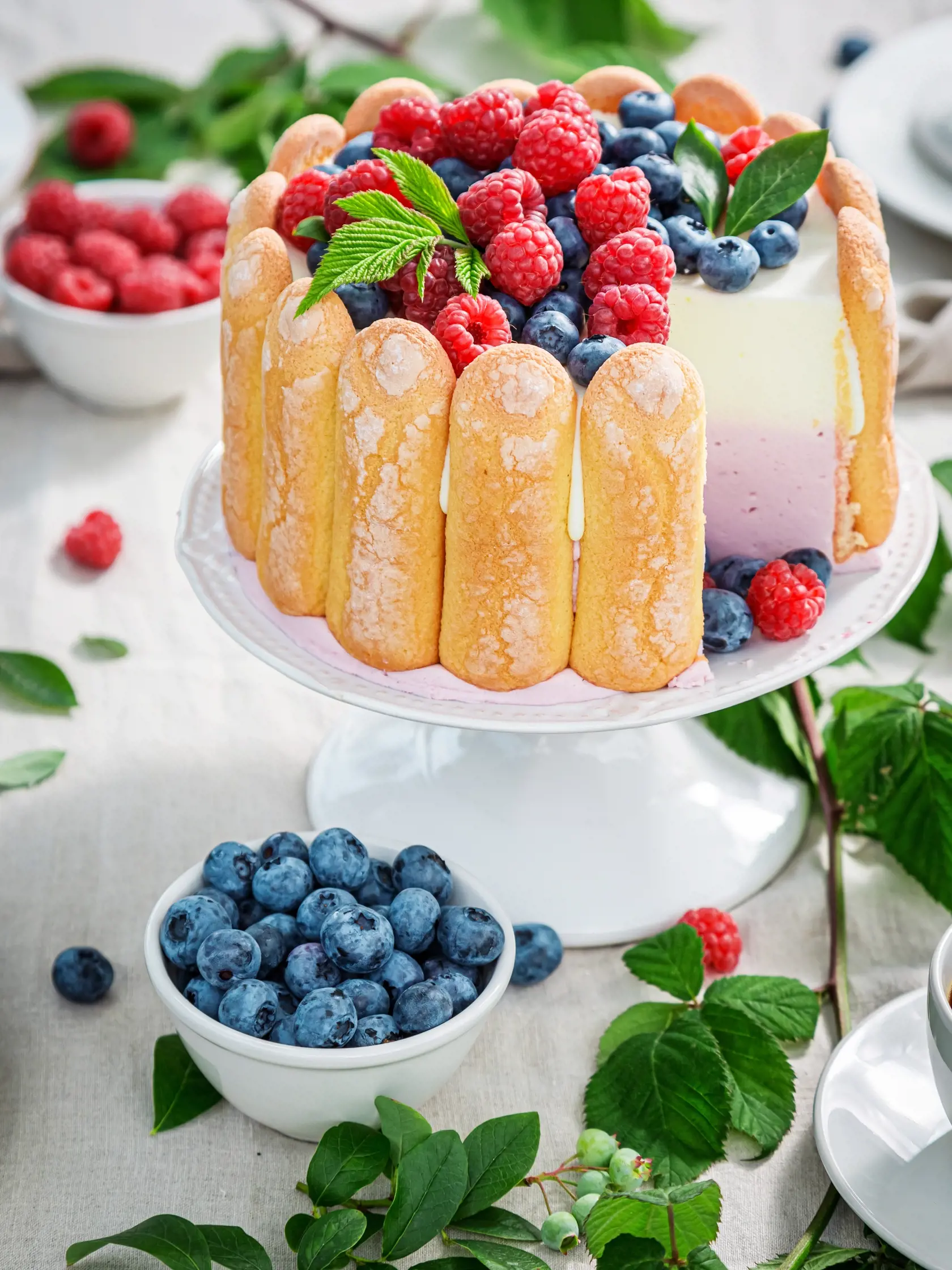 Ovocná zmrzlinová torta