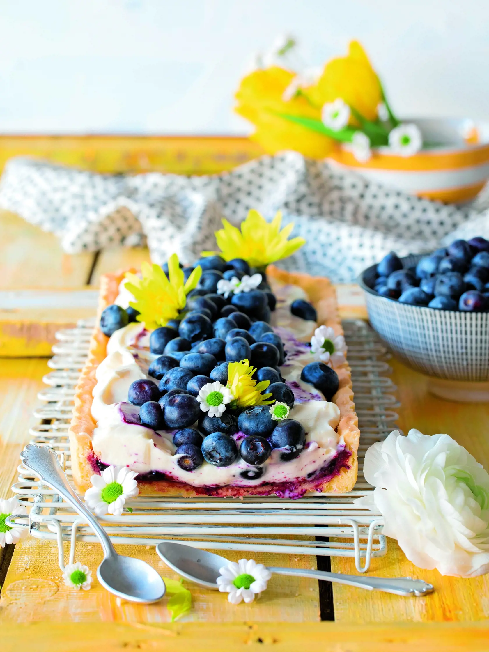 Čučoriedkovo-tvarohový tart.