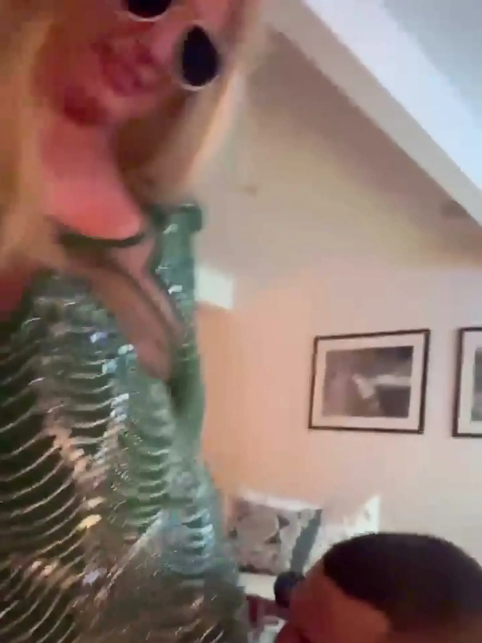 Speváčka Britney Spears si po oznámení rozvodu pozvala obľúbených mužov. Jeden predvádzal, ako ju olizuje.