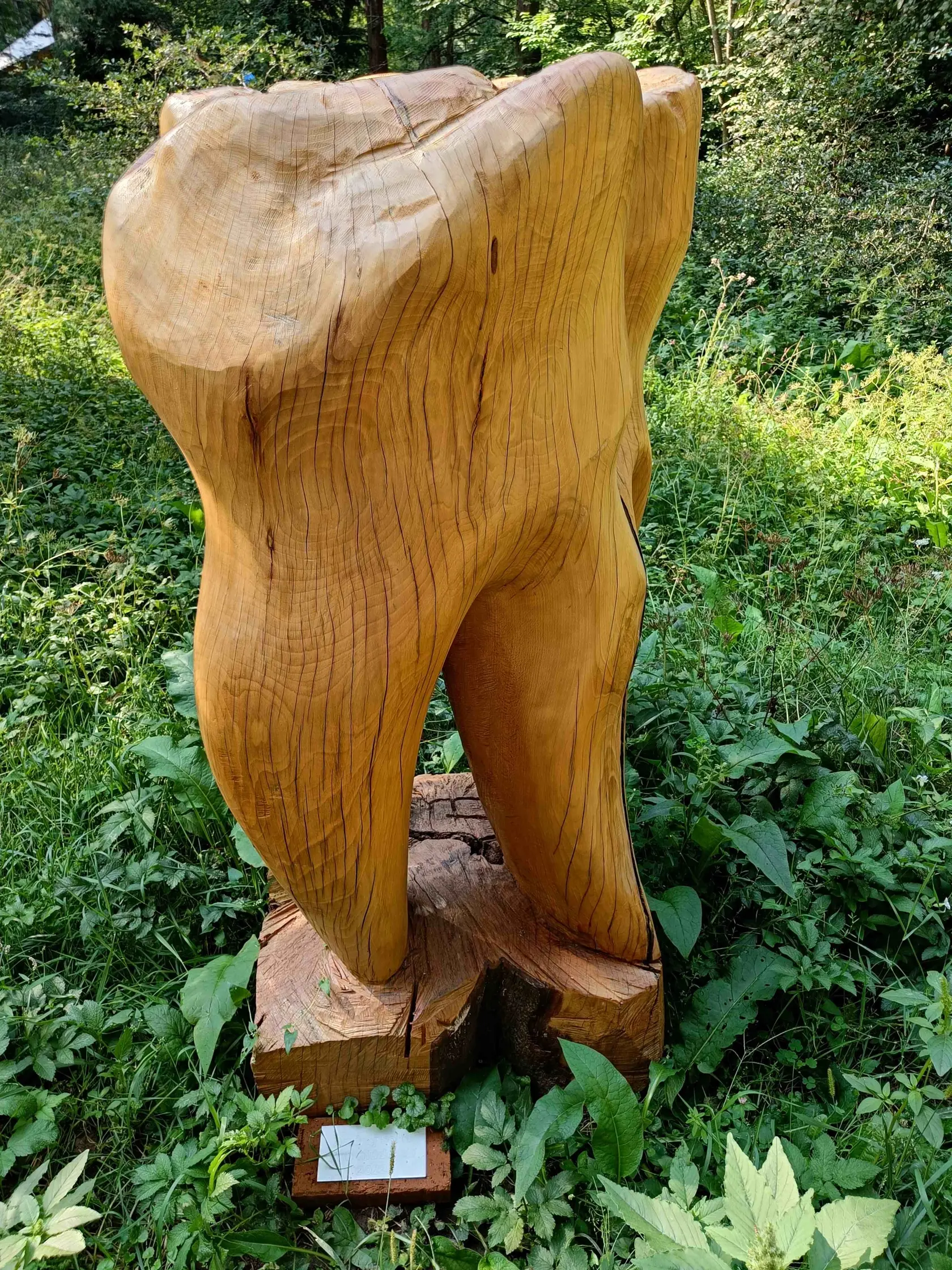 Konečným cieľom je však vytvorenie Exteriérovej galérie súčasnej sochy v Arboréte Kysihýbel. Tá vzniká aj s finančnou podporou Banskobystrického samosprávneho kraja.