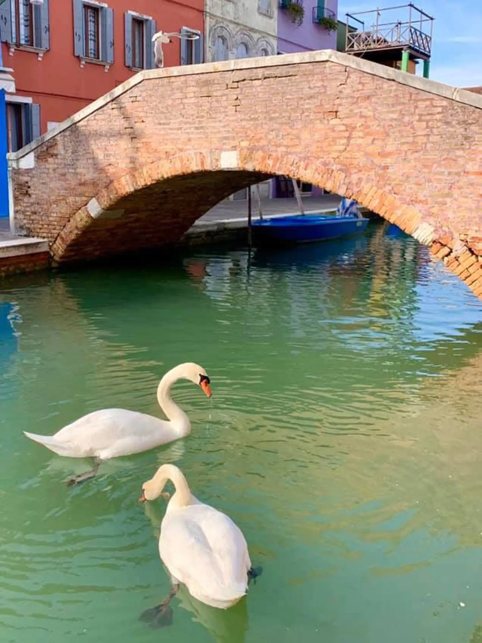 PRIEZRAČNÁ VODA: Výrazne čistejšie sú miesta v turistických lokalitách. Príkladom sú Benátky, ktoré sa vyprázdnili a v dôsledku dramatického poklesu lodnej dopravy sa prečistila voda.