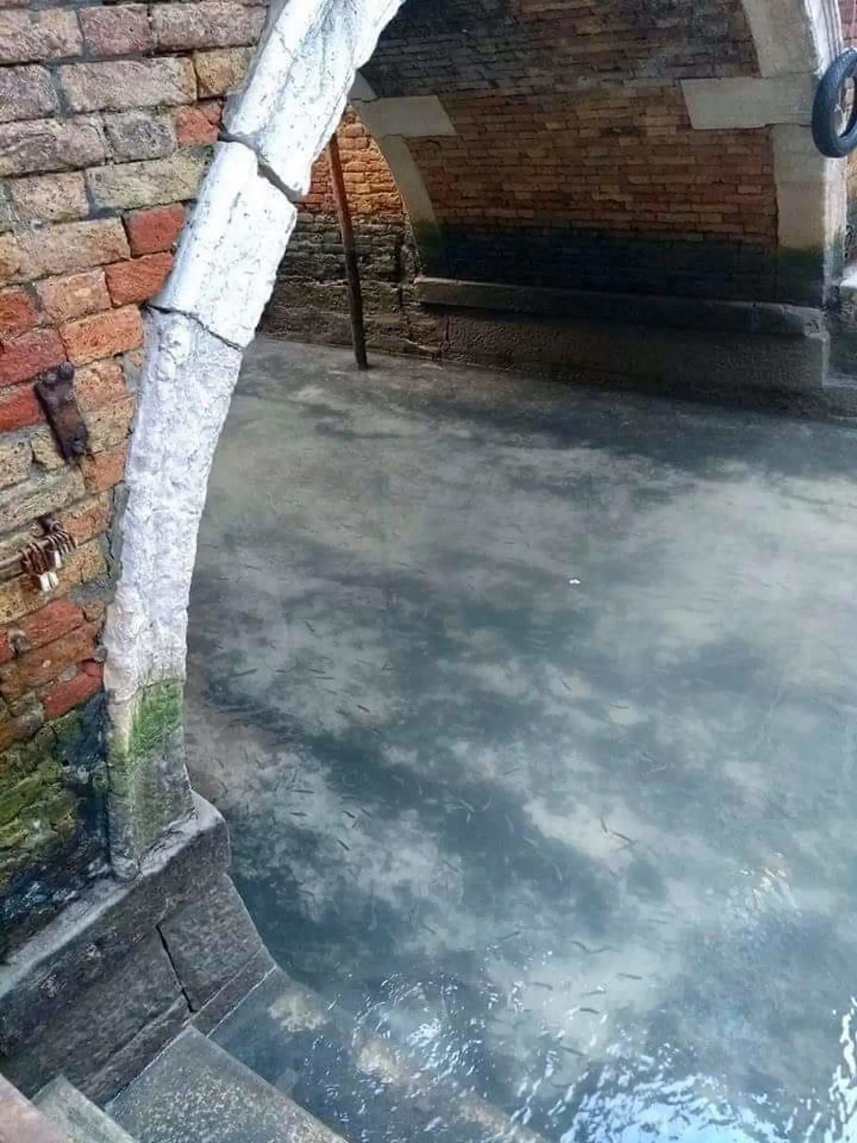 Voda v Benátkach je priezračná, pretože sediment sa usadil na dne a nevíri vo vode kvôli prechádzajúcim gondolám.