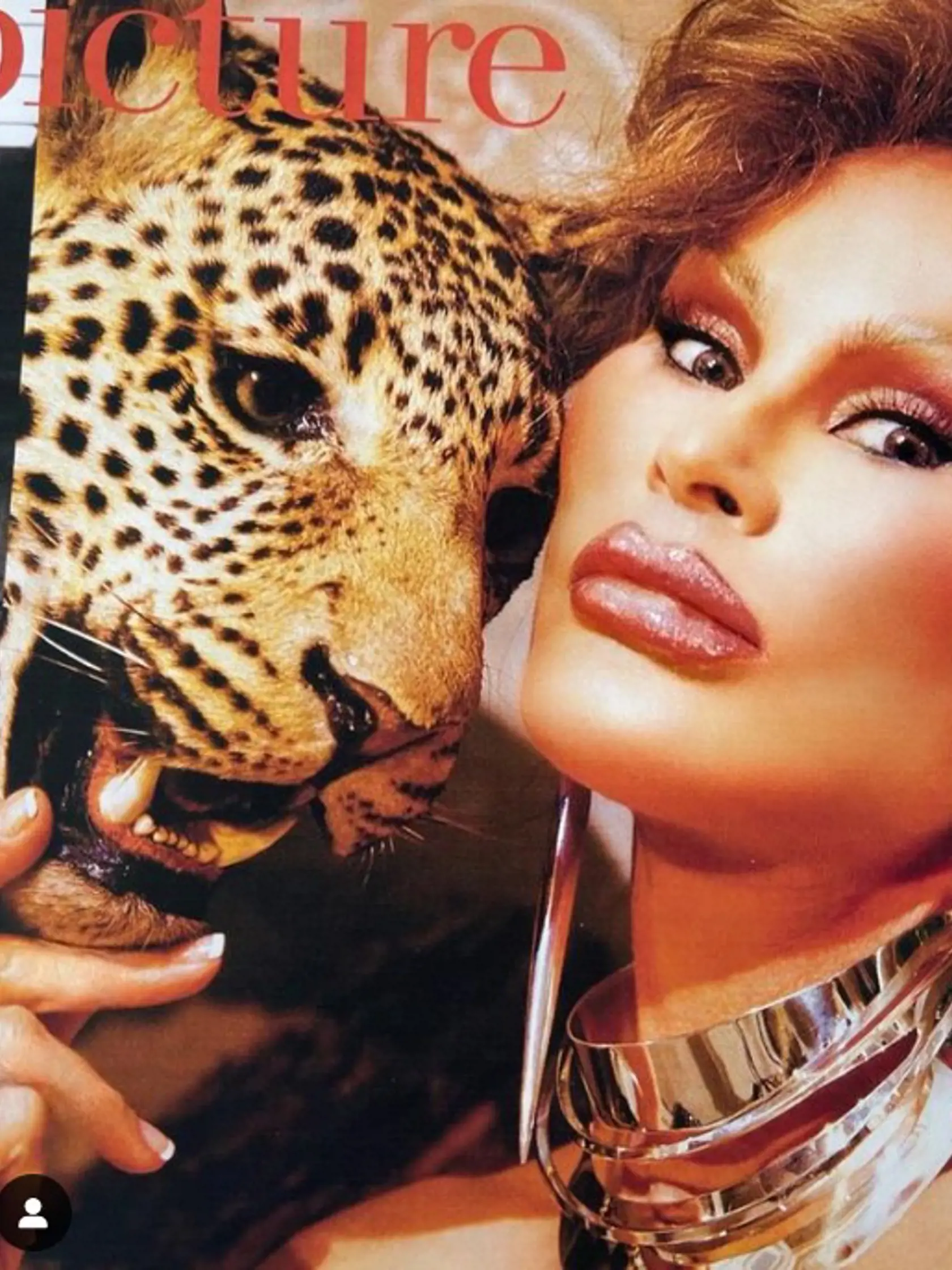 Plastické operácie Jocelyn Wildenstein sú témou mnohých špekulácií. V priebehu rokov podstúpila množstvo procedúr, pričom za ne údajne utratila milióny dolárov, aby dosiahla vytúžený vzhľad.