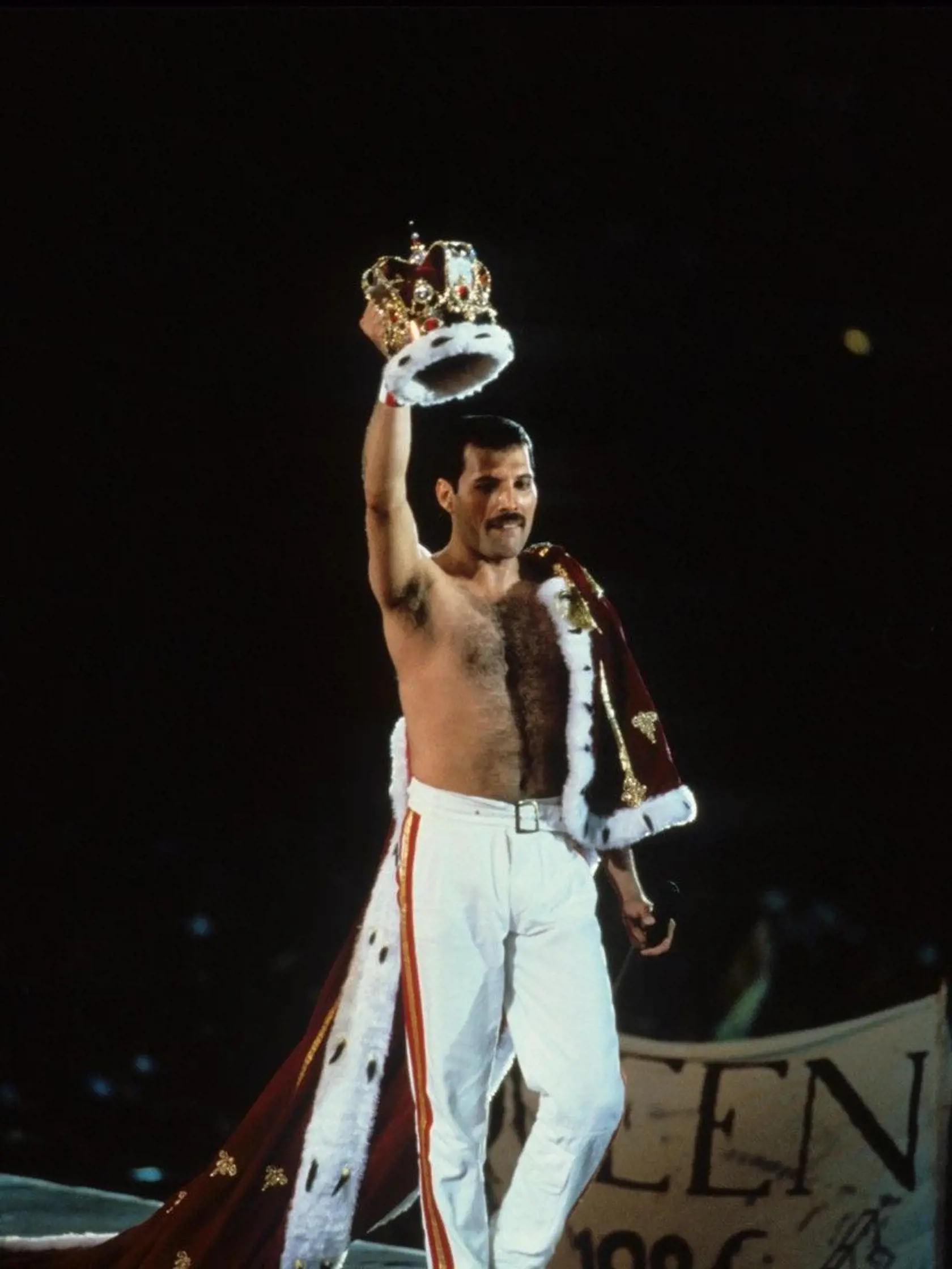 Freddie Mercury umrel v novembri roku 1991.