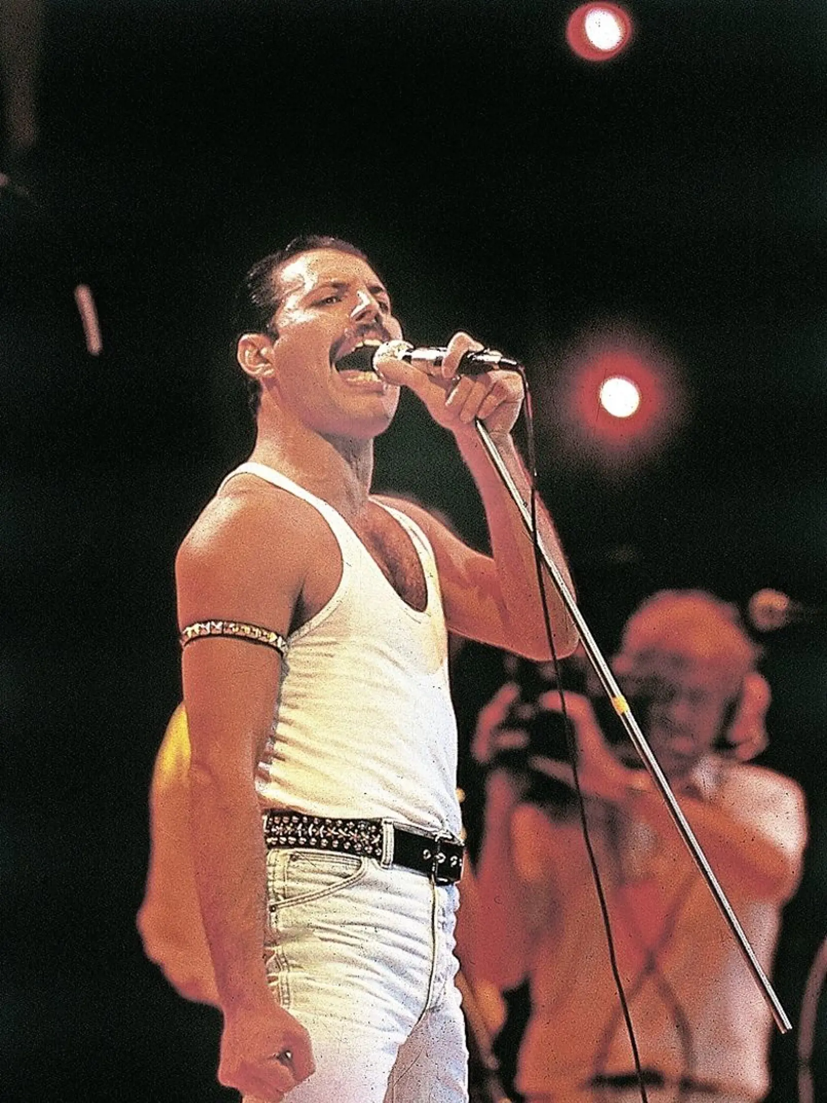 Freddie bol nielen nezabudnuteľný spevák, ale aj kráľ večierkov a neviazanej zábavy. Jeho životný štýl princeznej Diane učaroval.