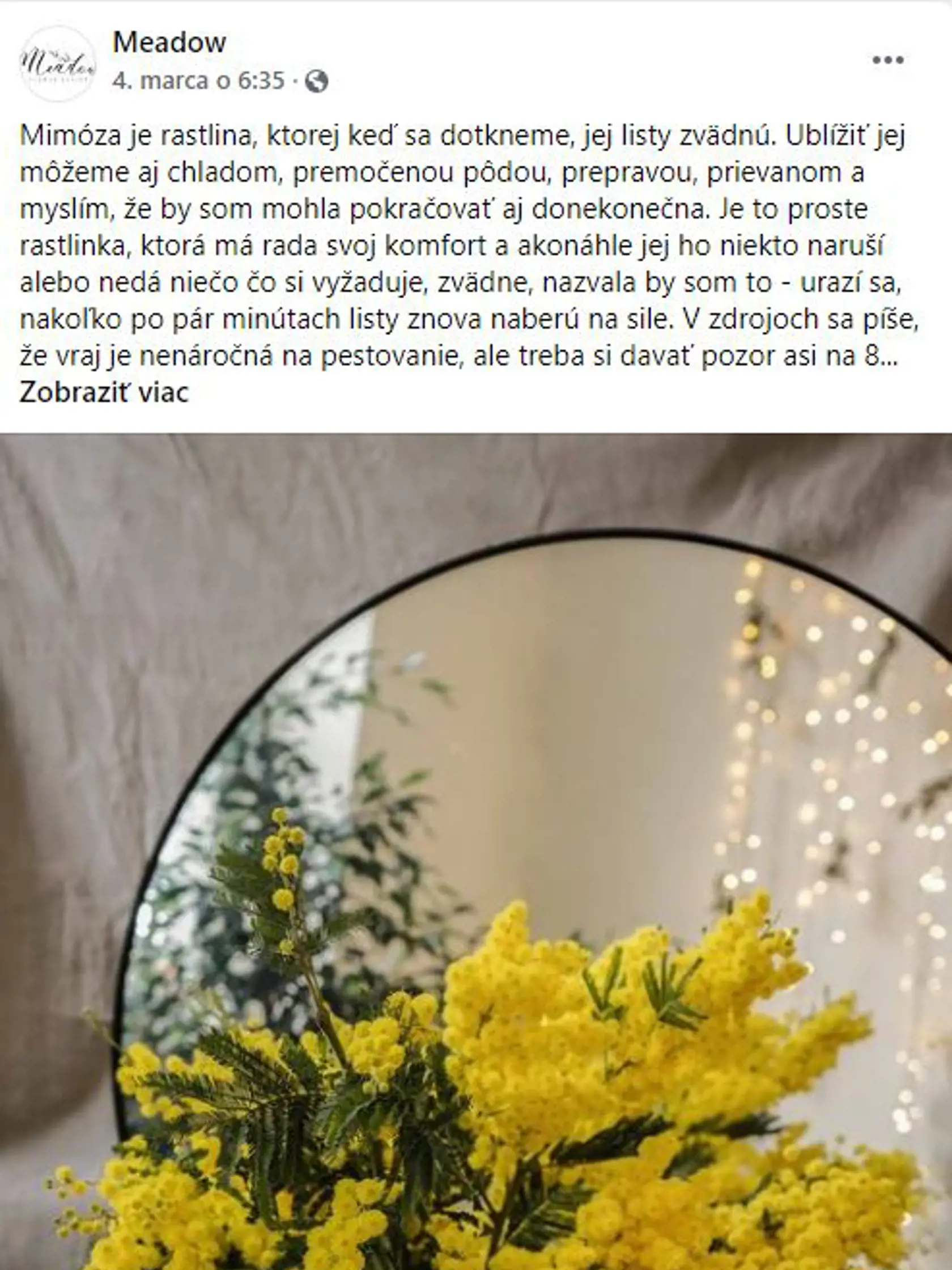 Meadow komunikuje so svojimi zákazníkmi cez sociálne siete.