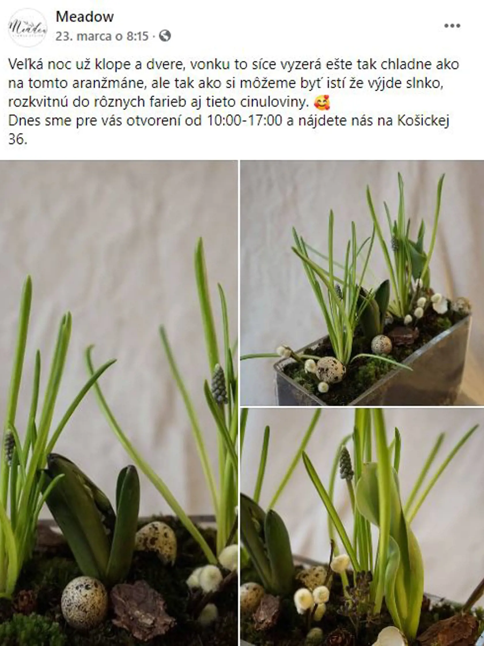 Meadow komunikuje so svojimi zákazníkmi cez sociálne siete.