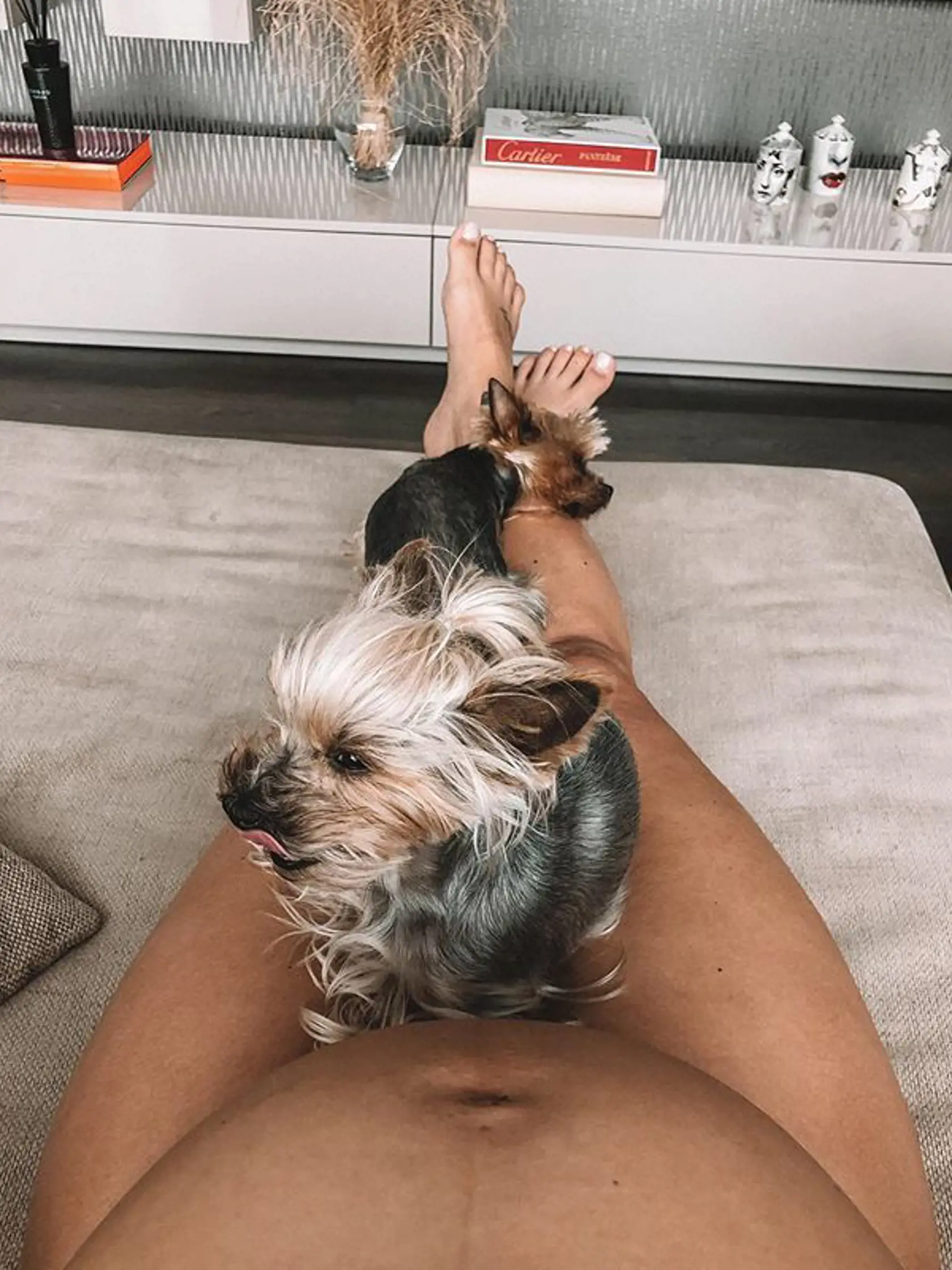 Dominika Cibulková si za niektoré tehotenské fotografie vyslúžila veľkú vlnu kritiky.
