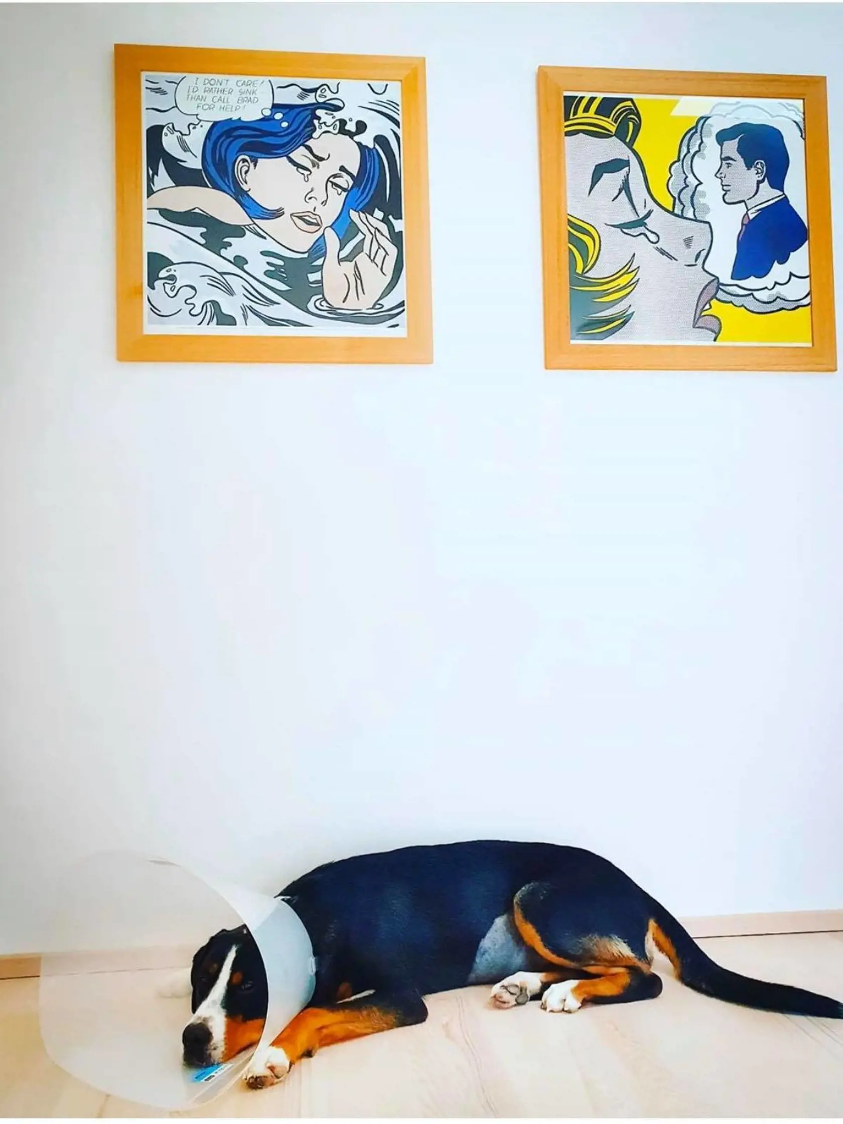 Takto to vyzerá v dome Moniky Hilmerovej a Jara Bekra, ktorí žijú v Hainburgu.